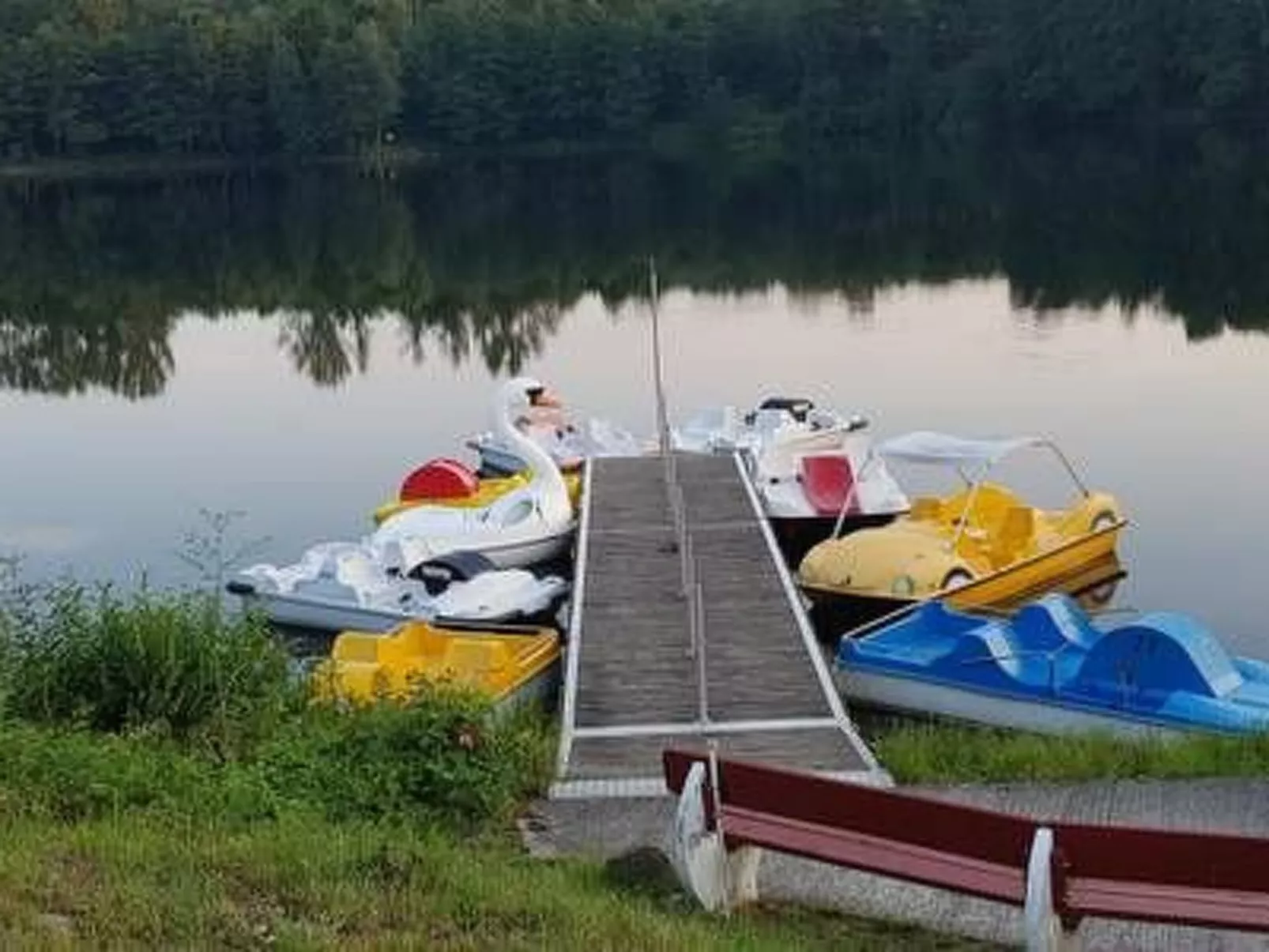 Tindy-Image-tags.info