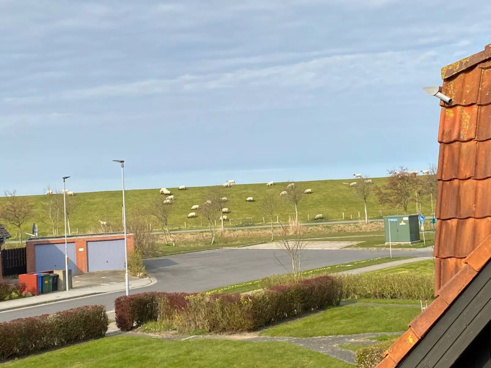 Heimathafen Friko-Image-tags.info