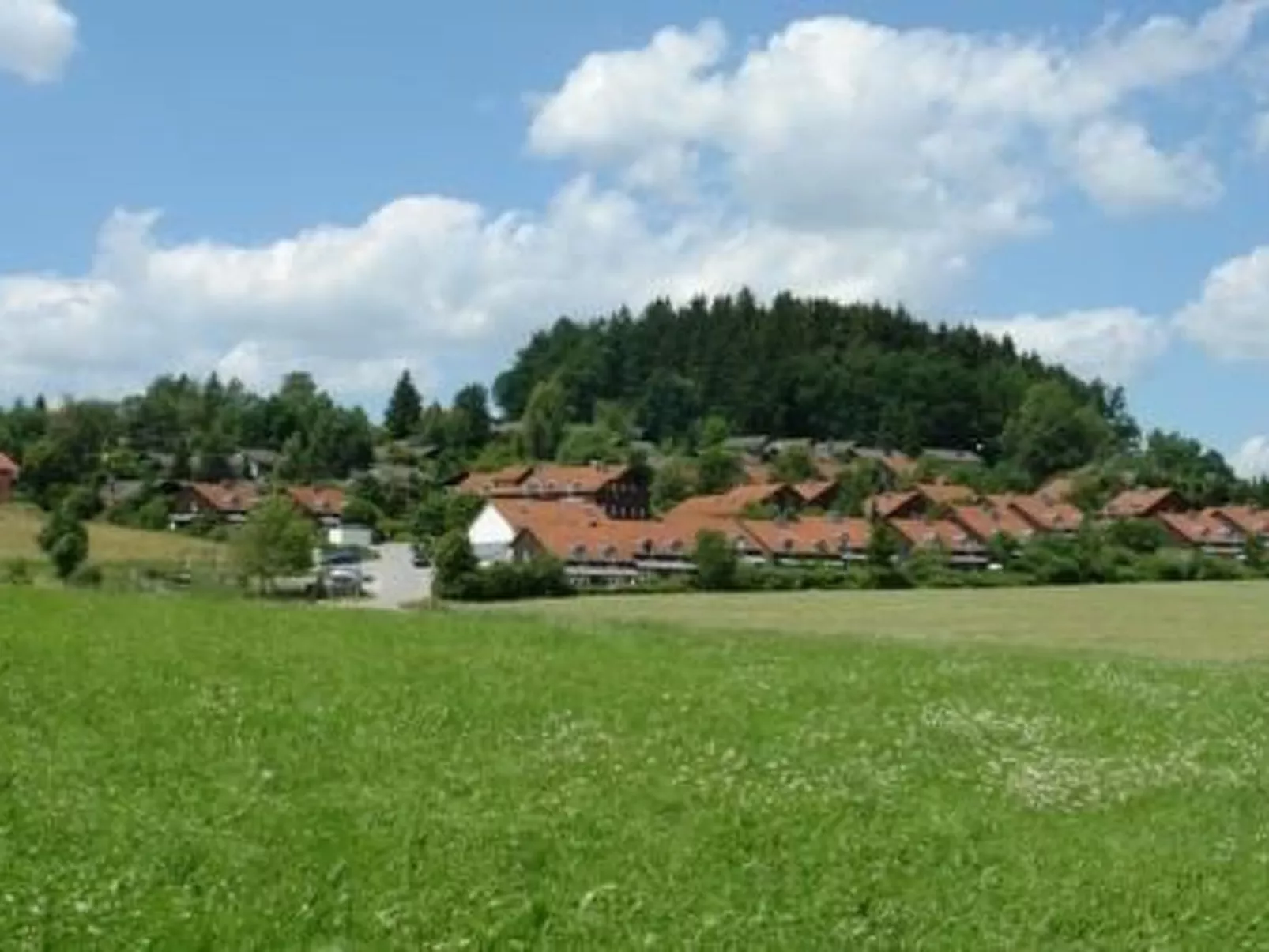 Gemütliche Wohnung in Zandt mit Möbliertem Balkon-Binnen