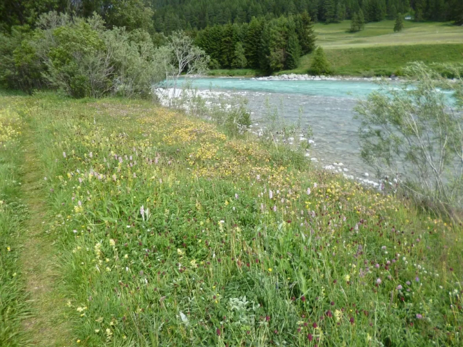 Chesa Blais-Image-tags.info