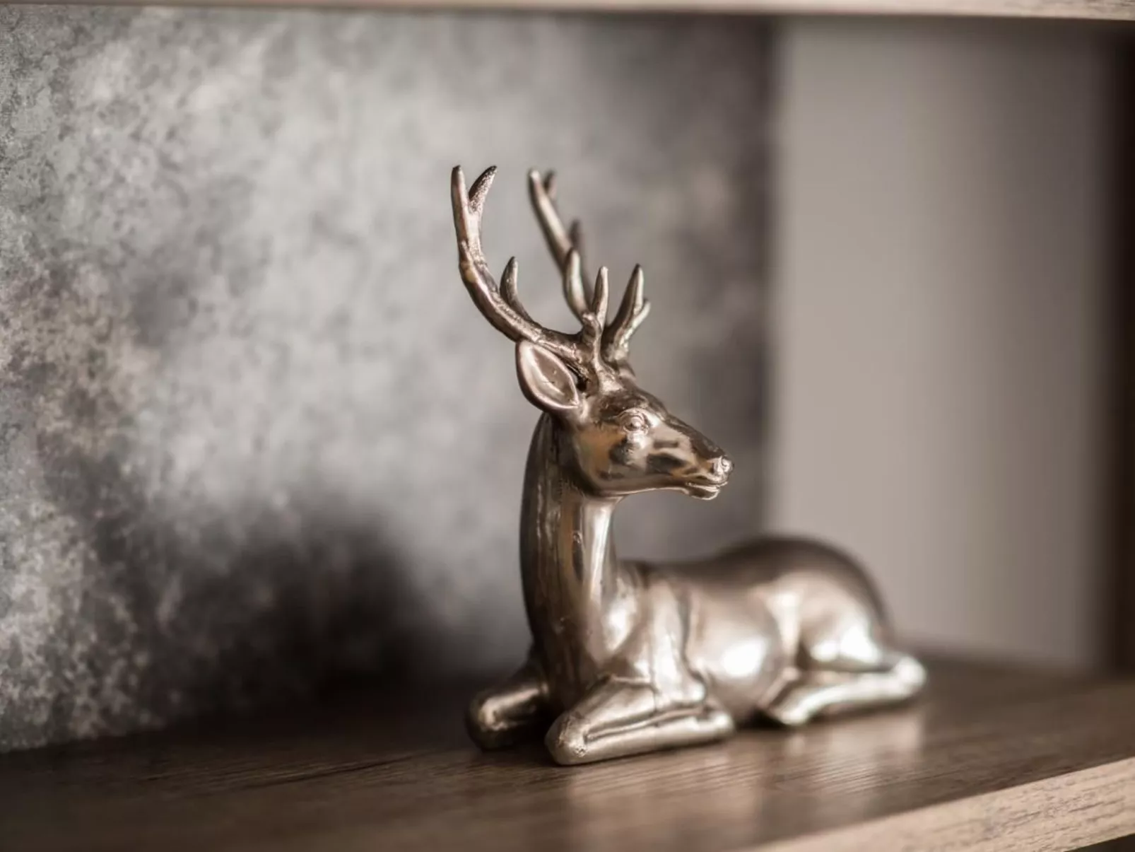 Chesa Talvo - Binnen