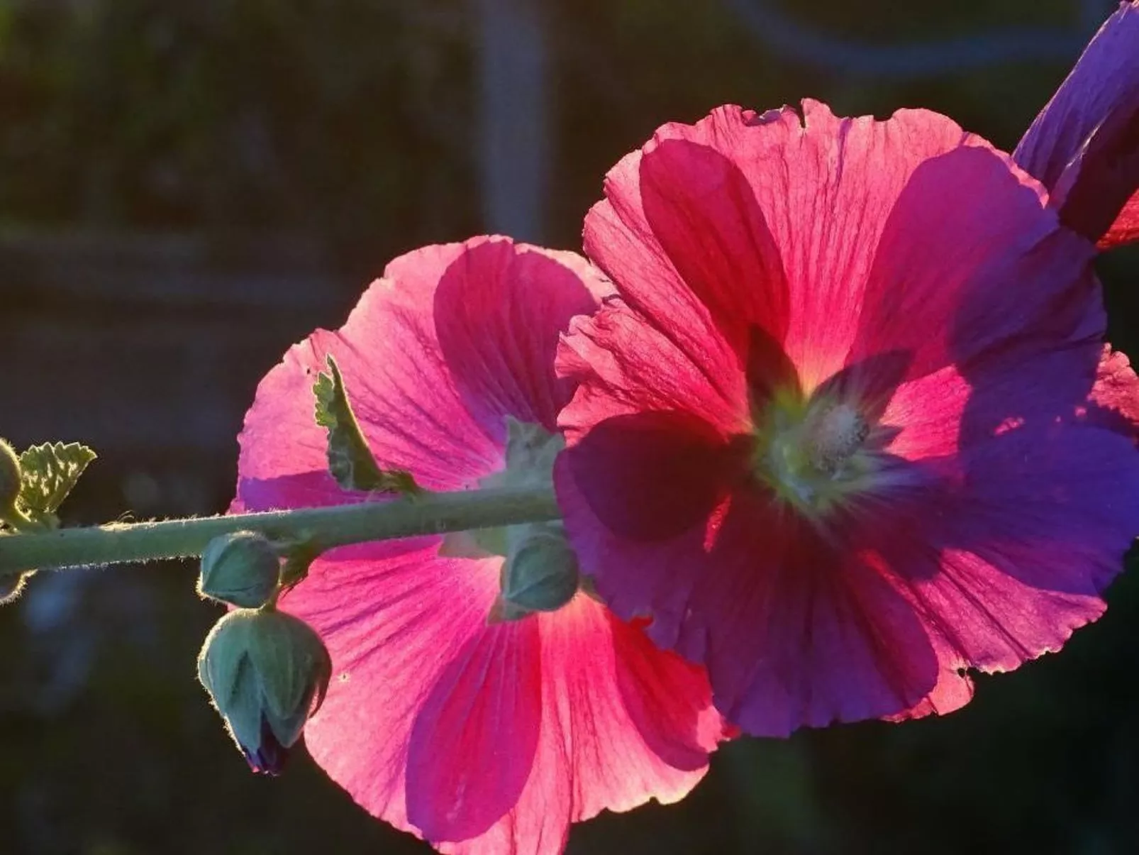 Chalet Aebnit-Buiten