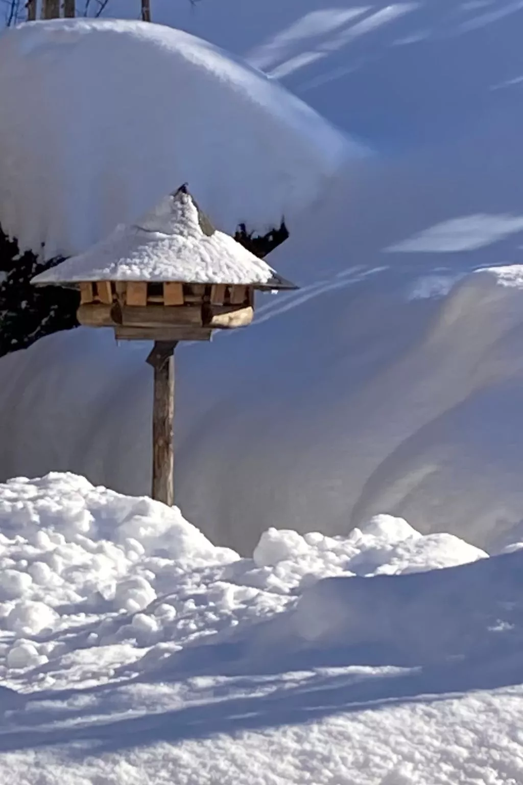 Chalet Sunnsyta;-Buiten