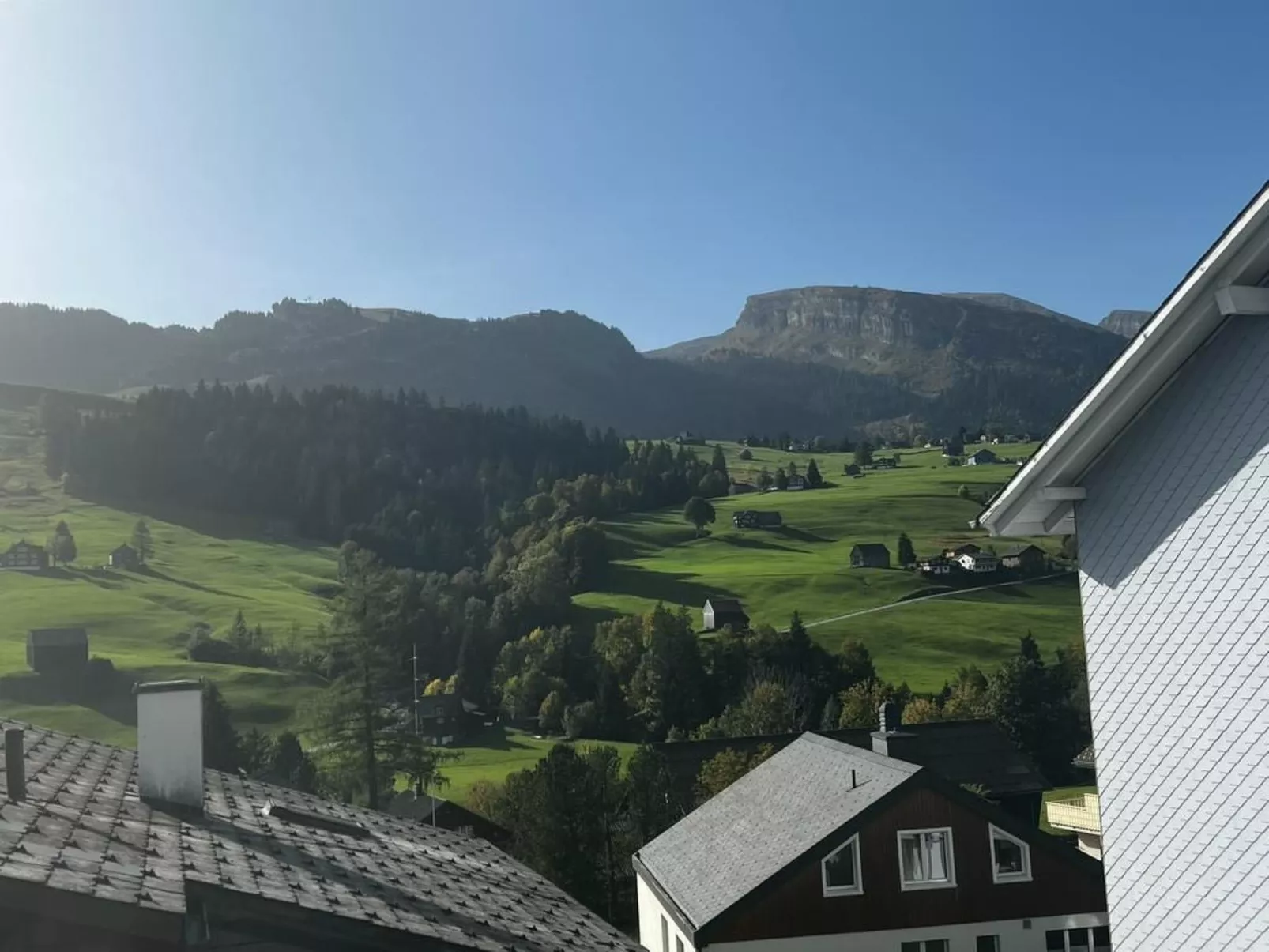 Friedegg-Image-tags.info