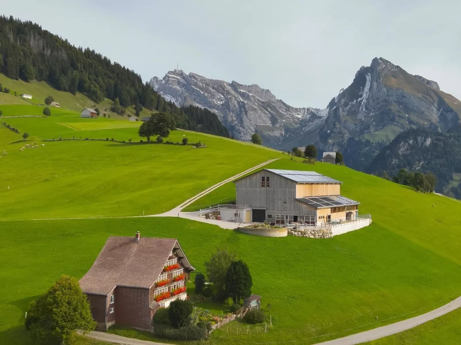 Haldenhof Schwizer-Buiten