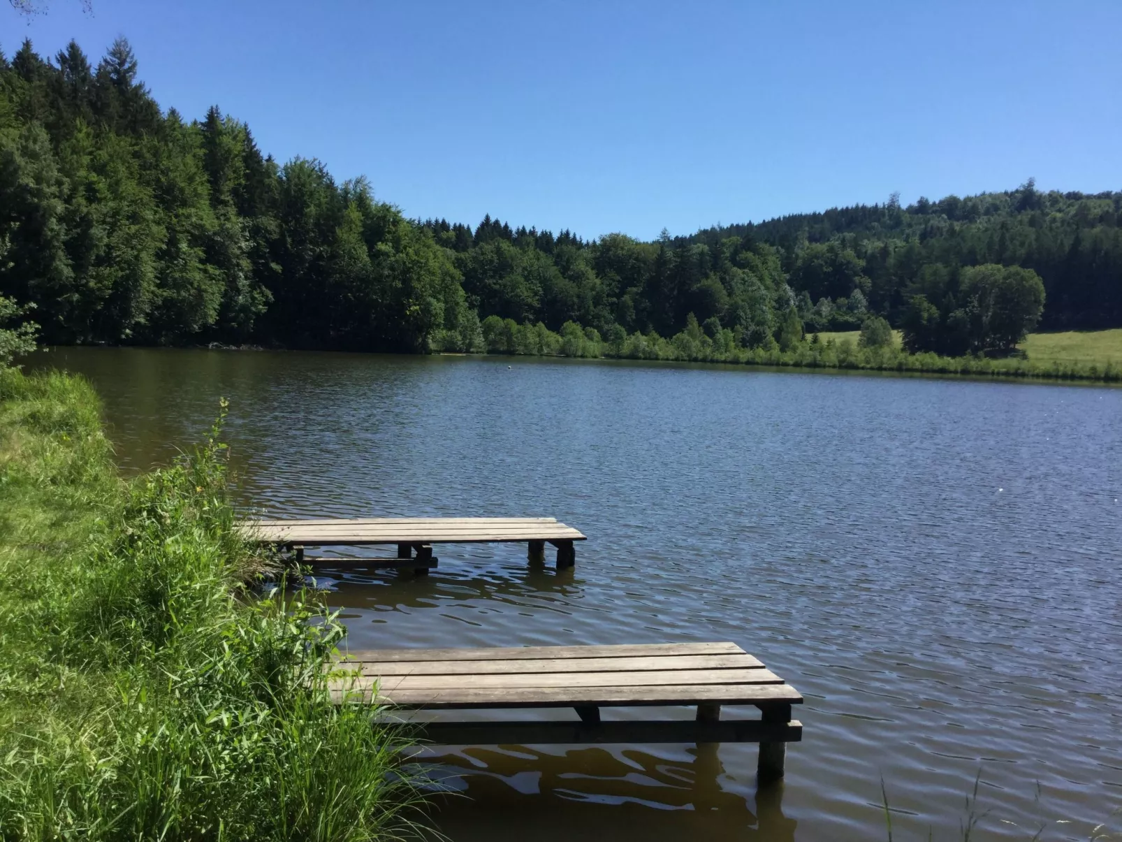 Mit Panoramablick-Binnen