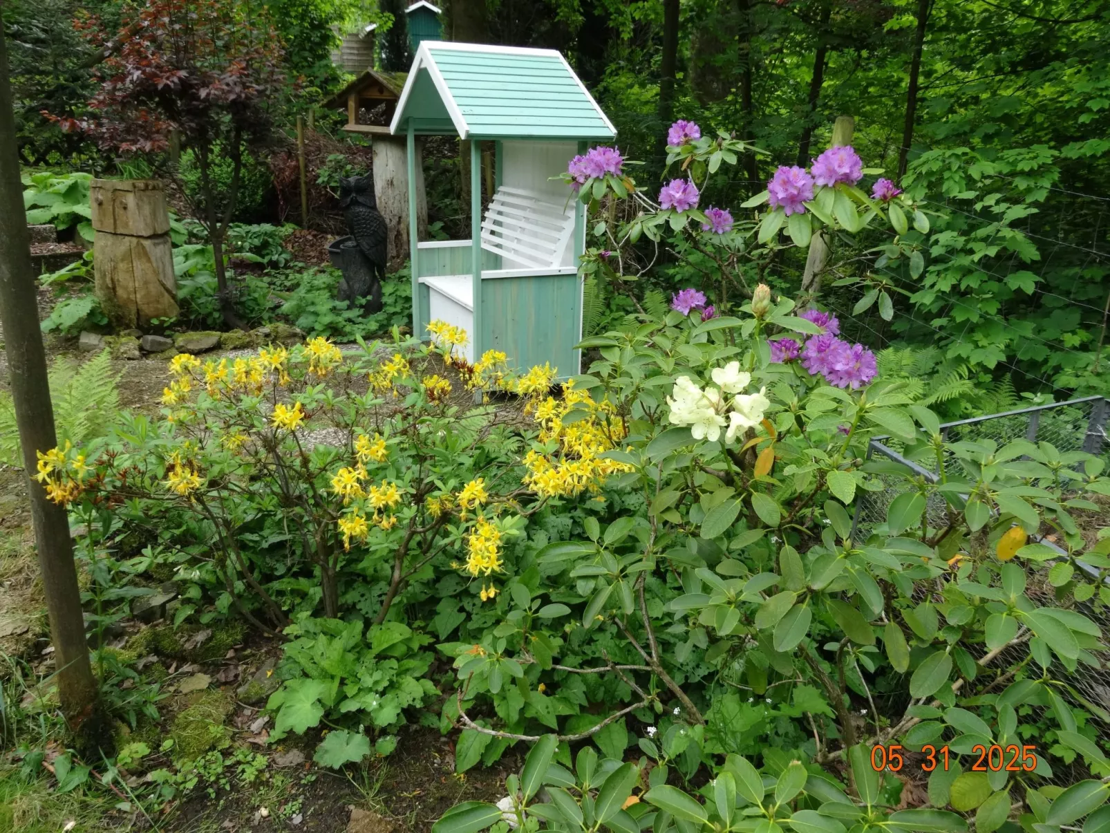 Harz-Haus-Bruns-Buiten