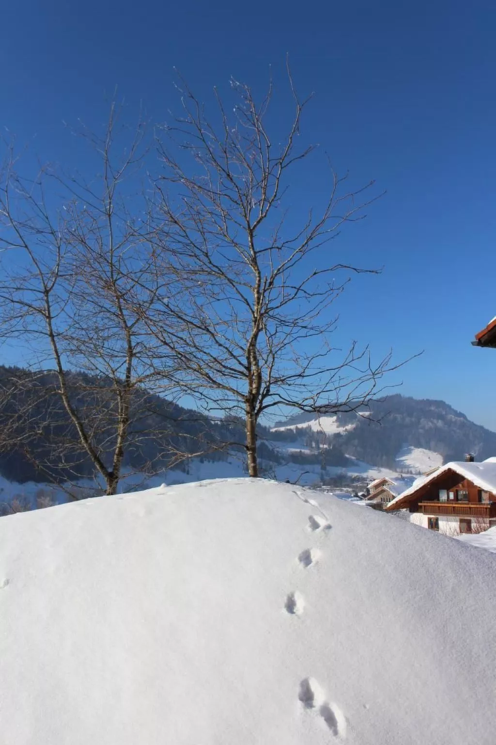 Alpkönigin - Buiten