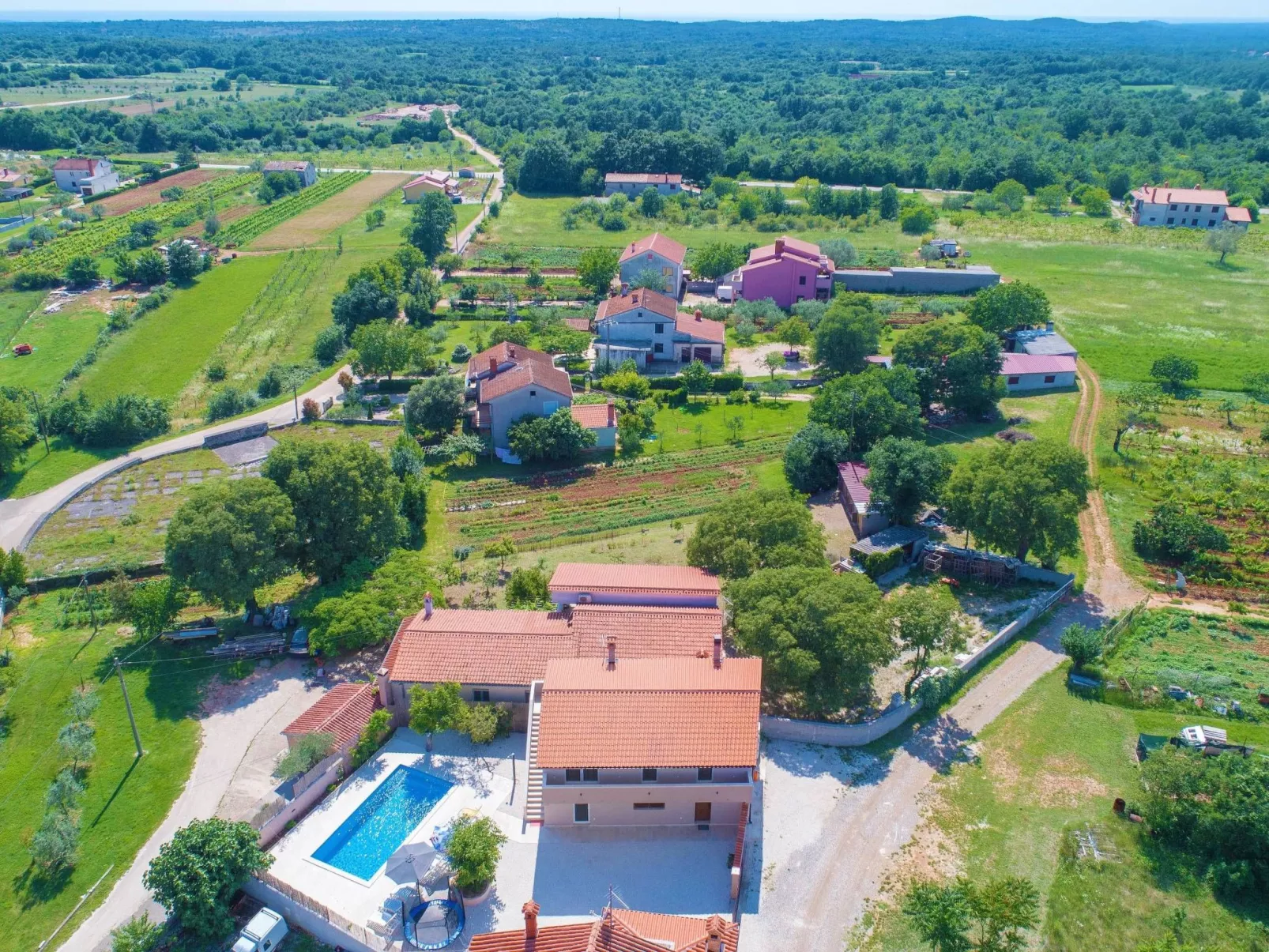 Leone-Image-tags.info