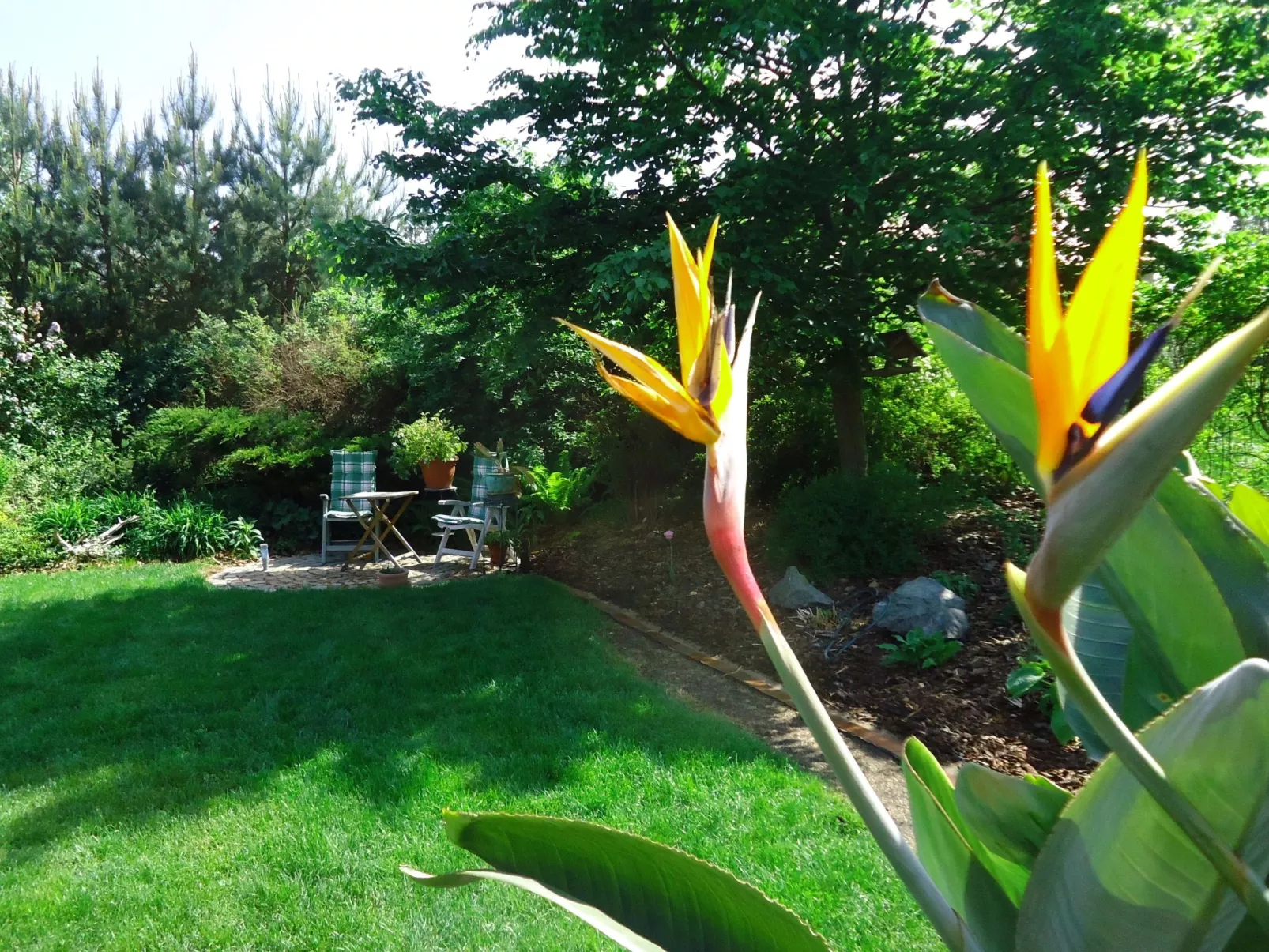 In ruhiger Lage am Waldrand-Binnen