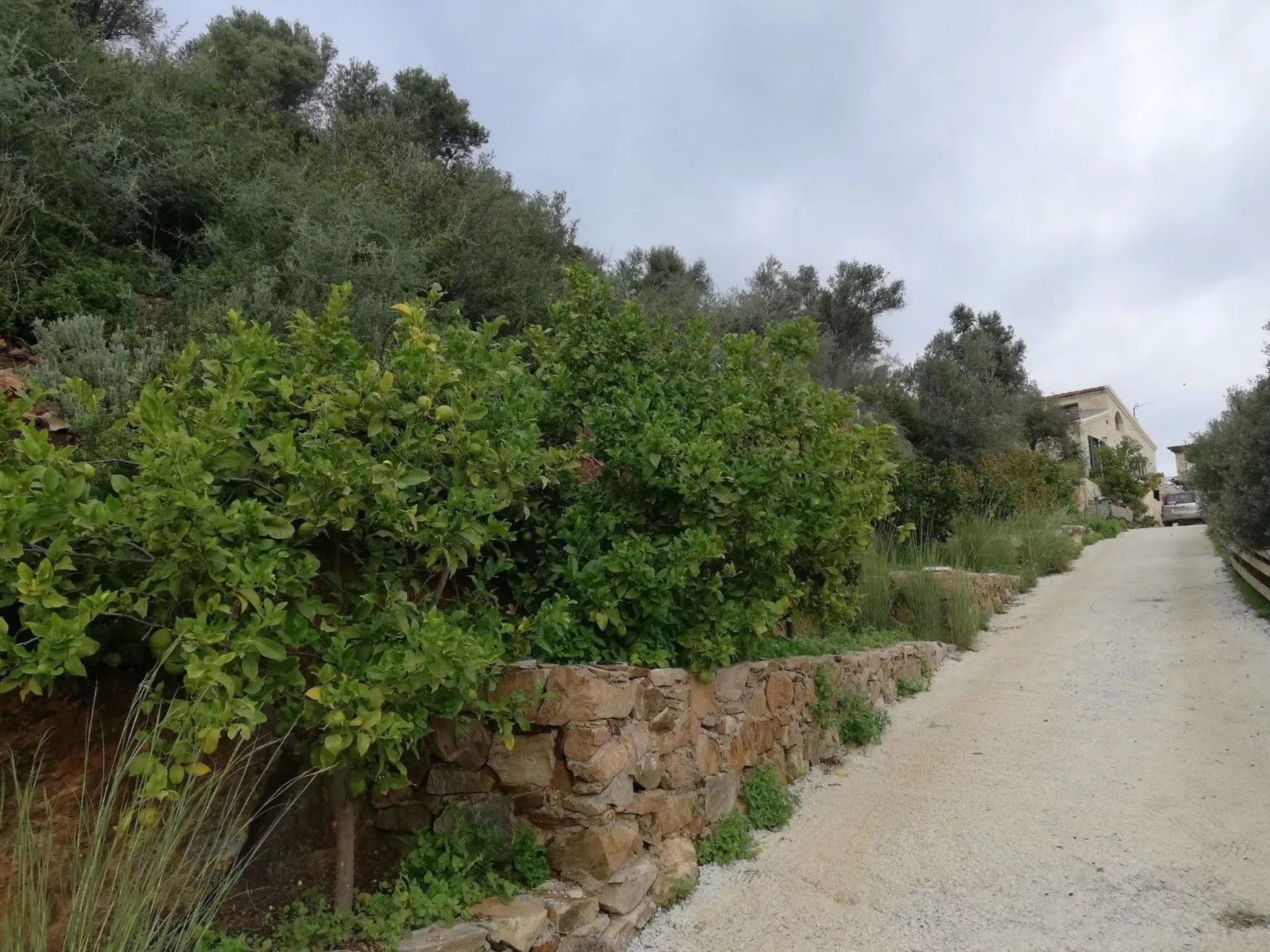 BIO-Energie-Villa Antonis-Binnen