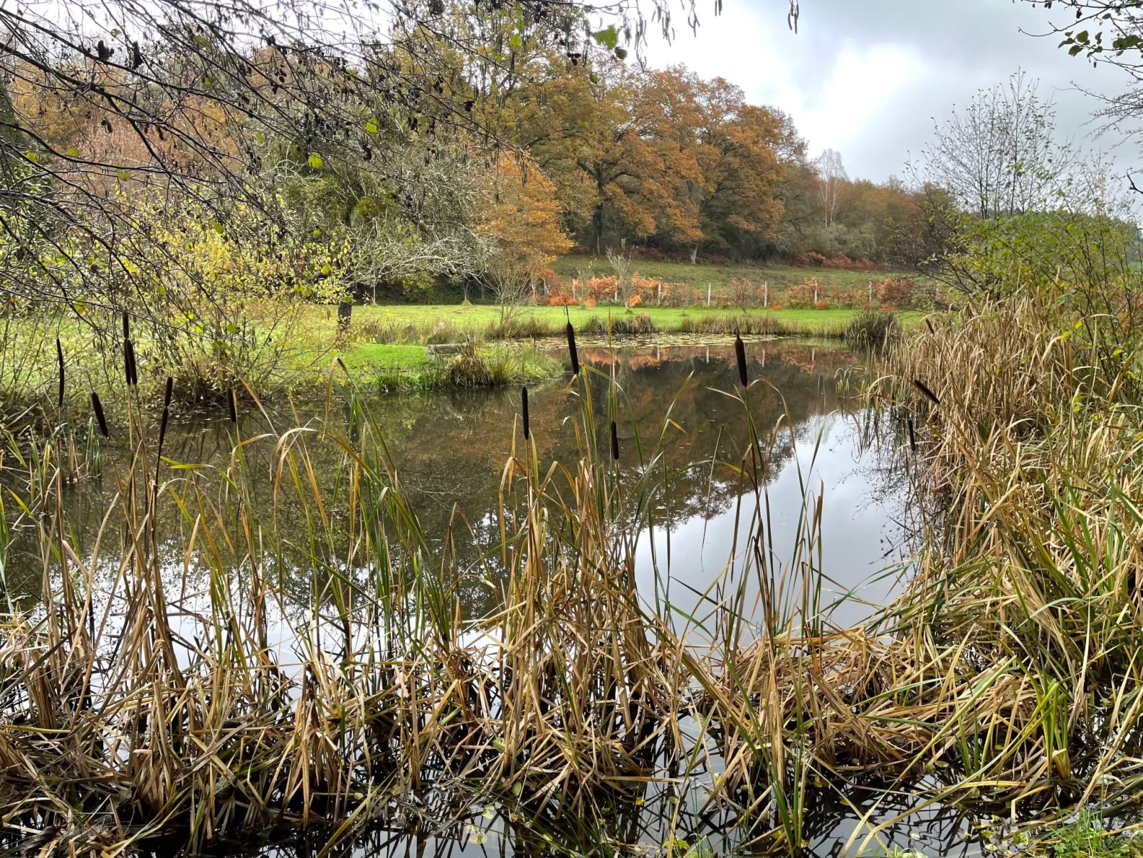 Für 6 Pers. mit eigenem Teich-Binnen
