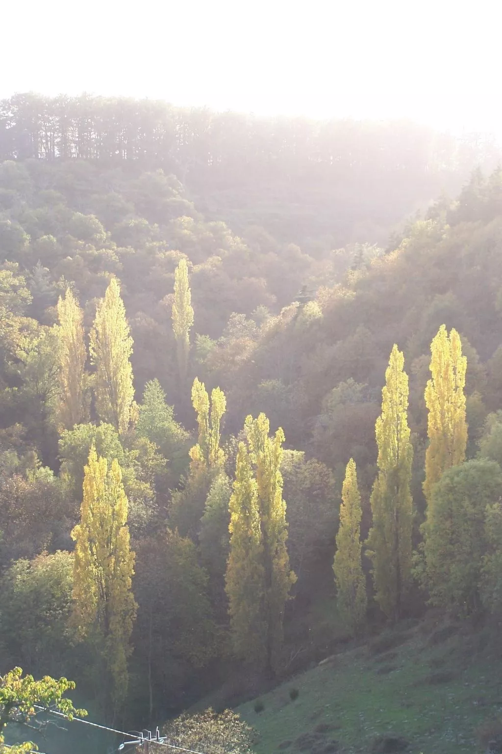 Gîte de Chapelèche Les Genêts-Buiten