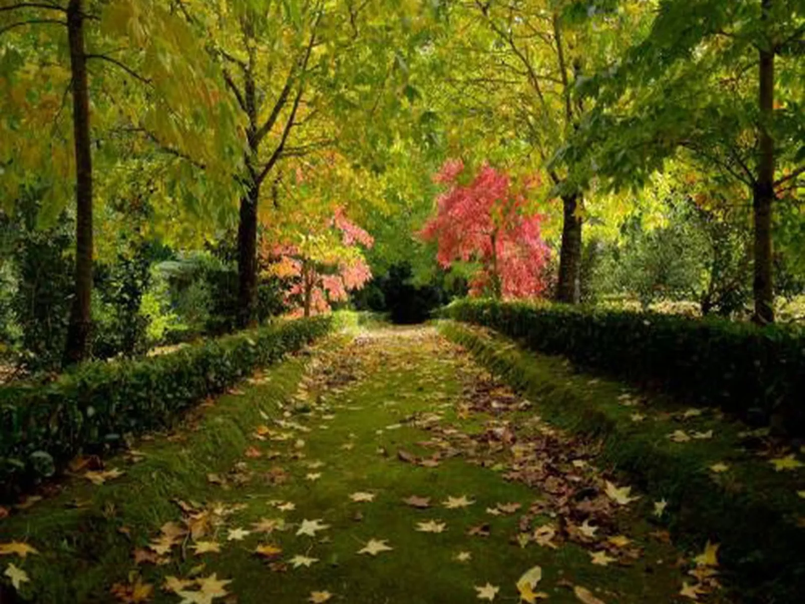 Haus der Stille-Buiten