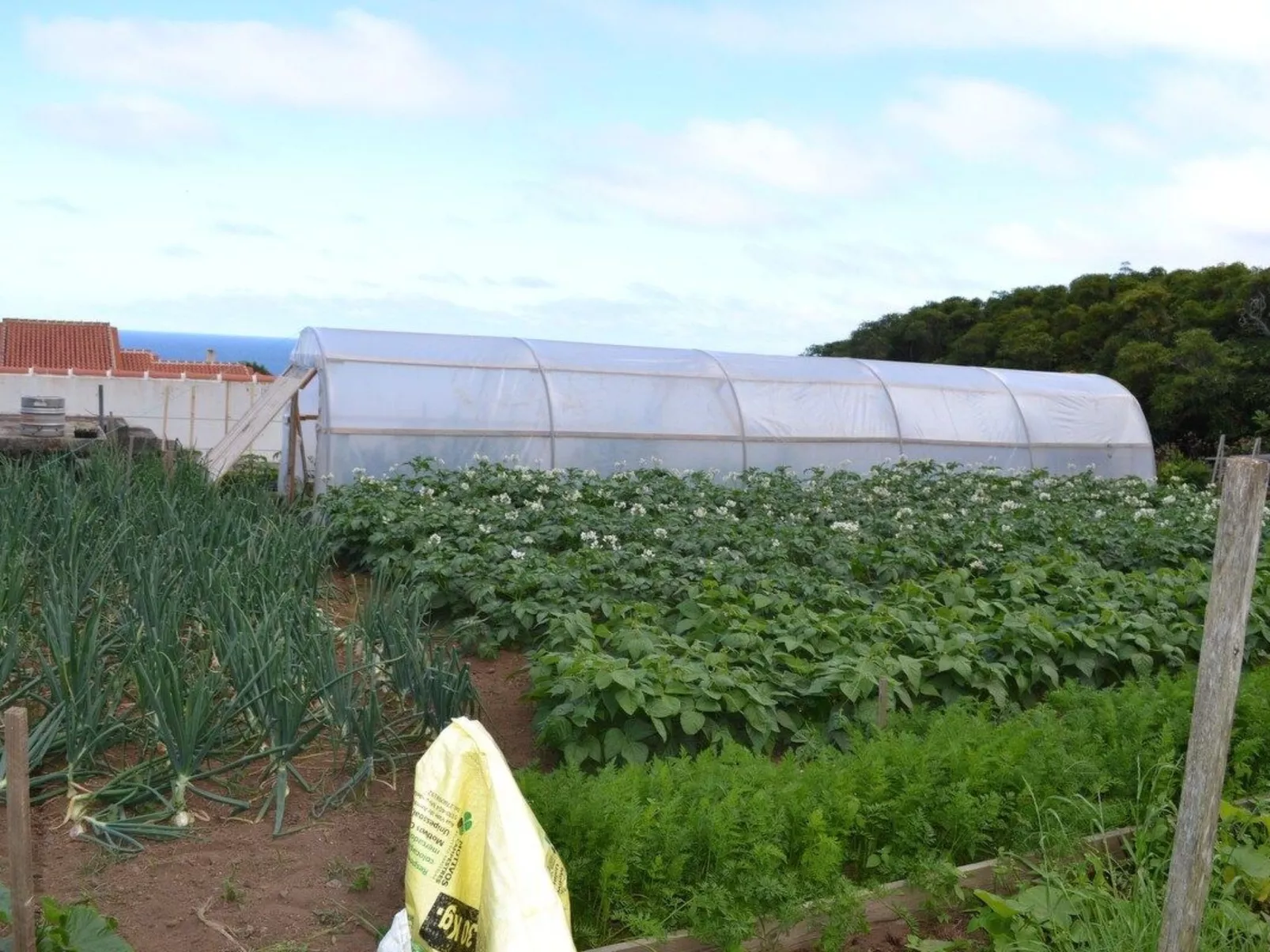 Das Haus der Weinkellerei-Buiten
