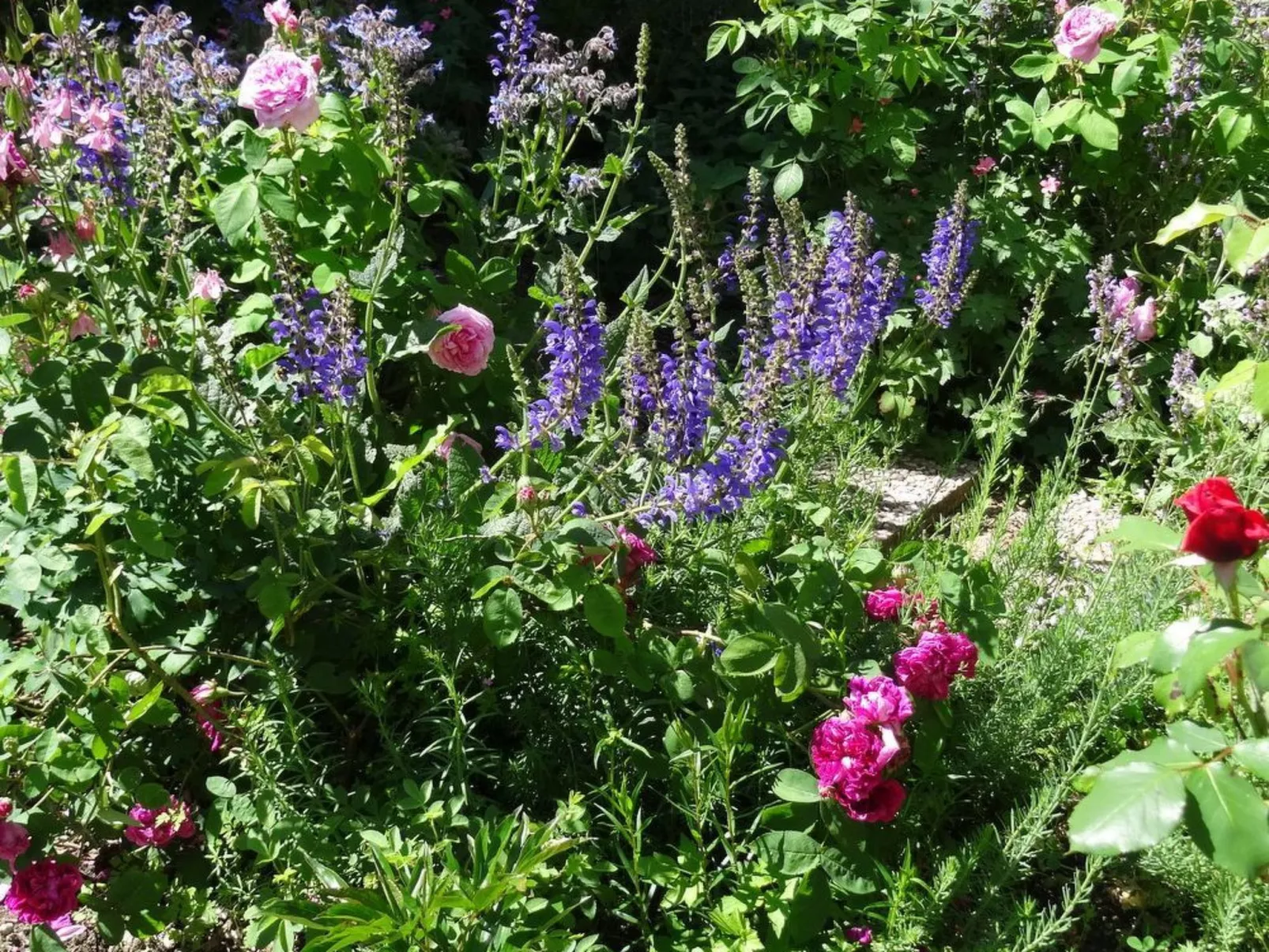 Bévau: Frankreich erleben mit Bio-Frühstück und täglichem Putz-Service-Buiten