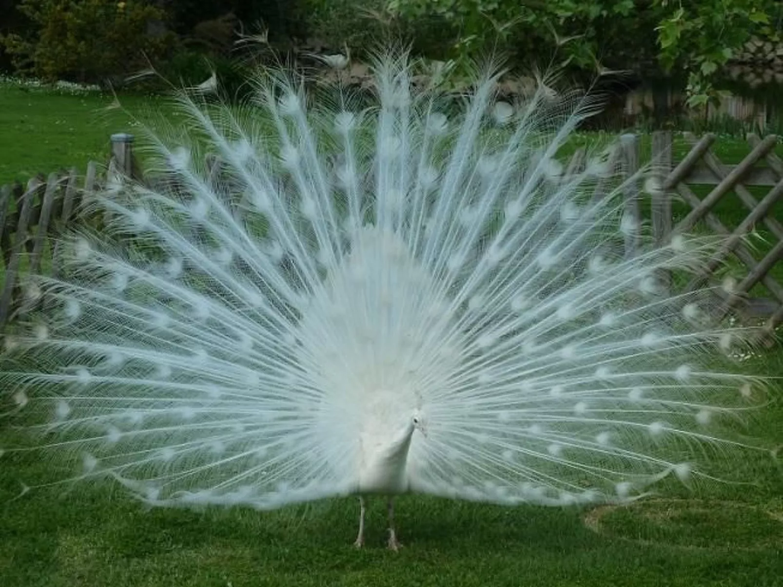 "Au Bas Chalonge Gîte"-Buiten