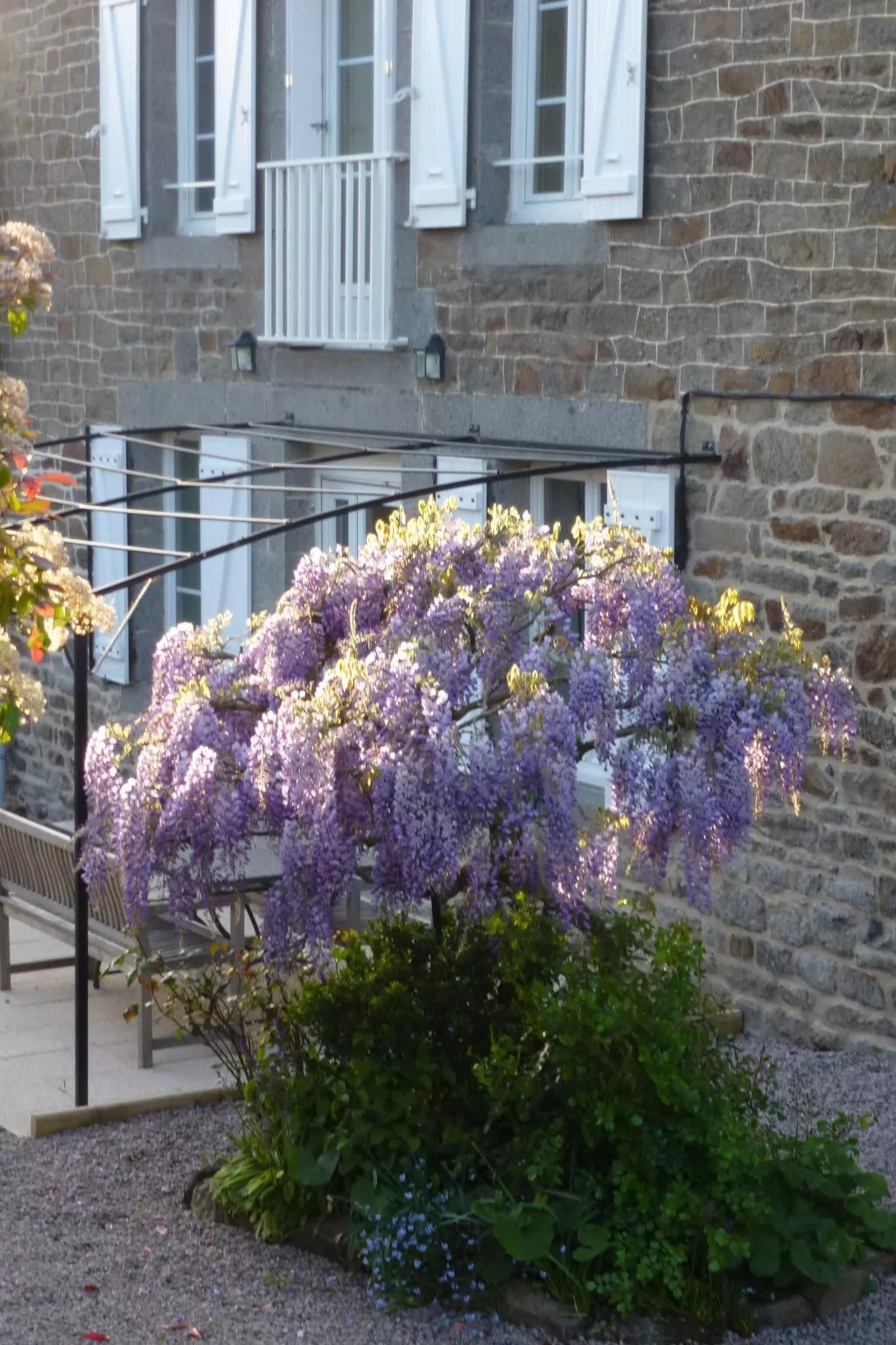 "Le Roseraie"-Buiten