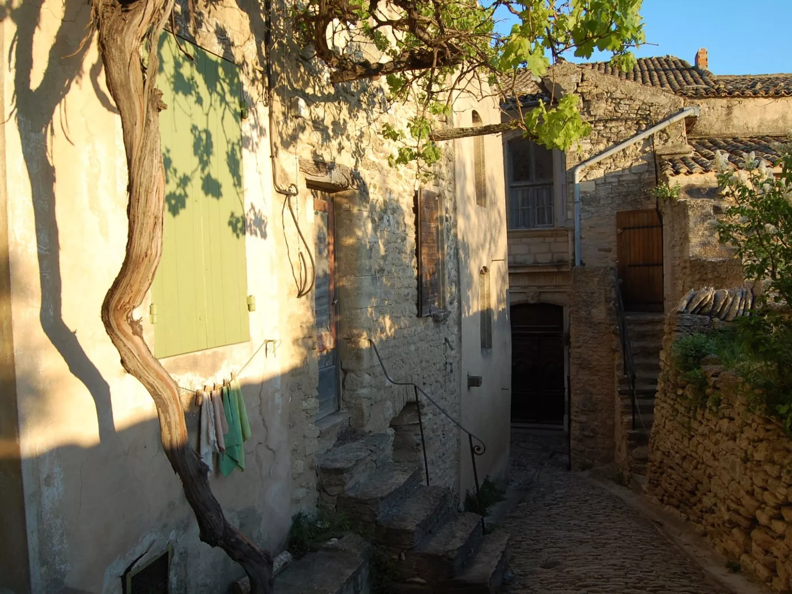 Cypres du Paradis-Image-tags.info