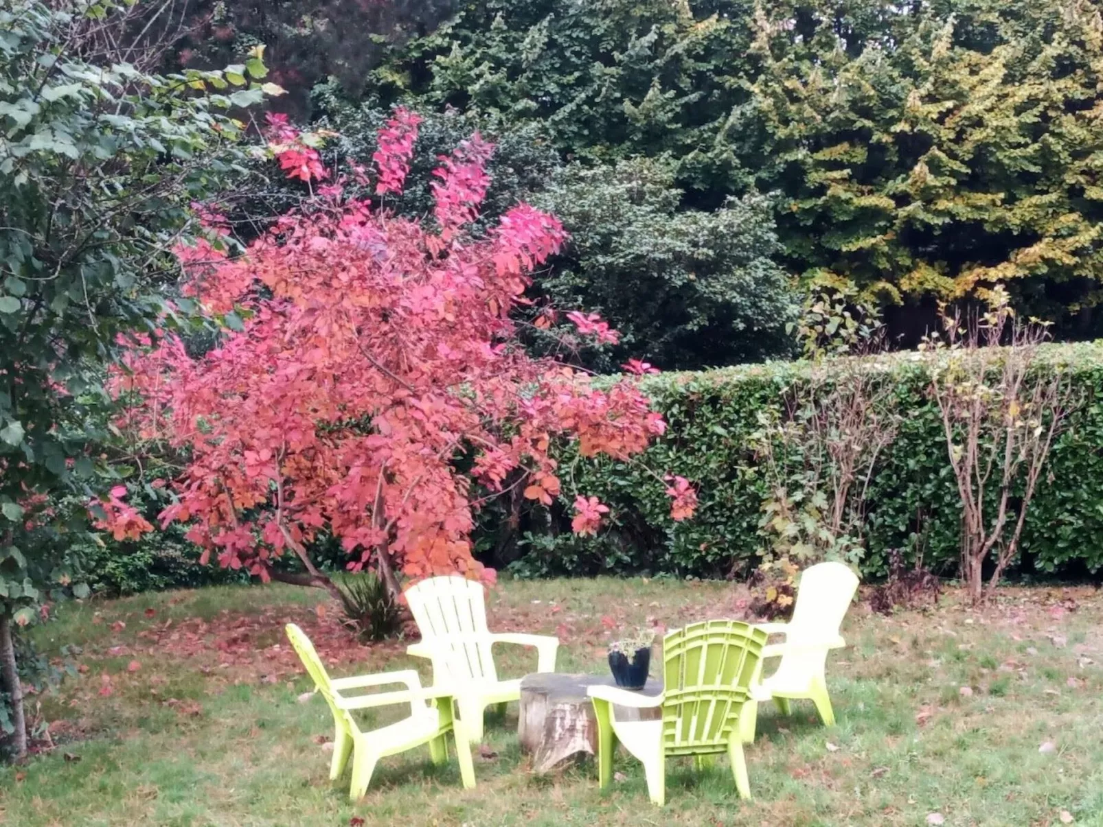 Villa La Côte du Chat -Familienhaus Bretagne-Image-tags.info