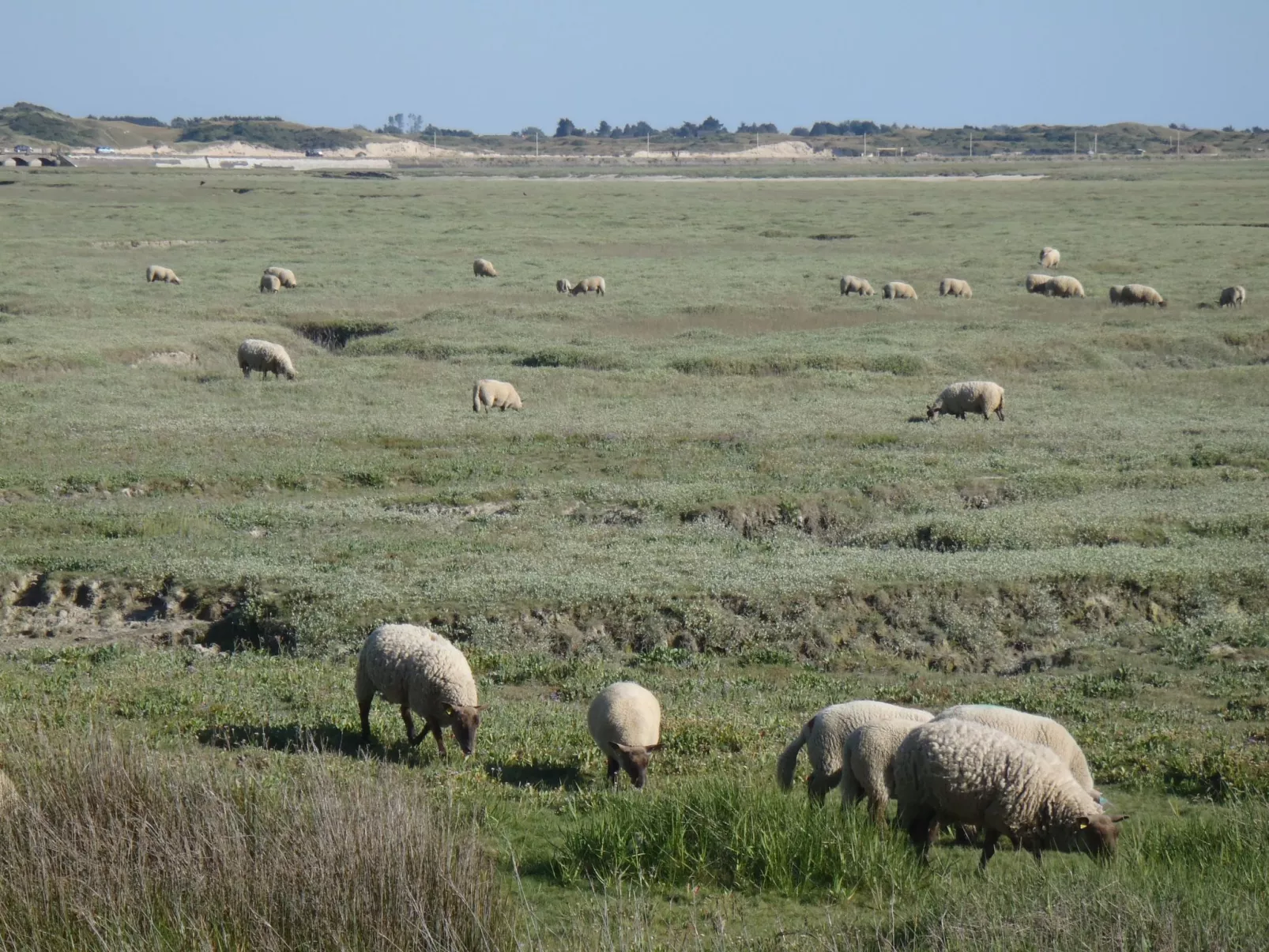 Haus Havre in Portbail-Image-tags.info