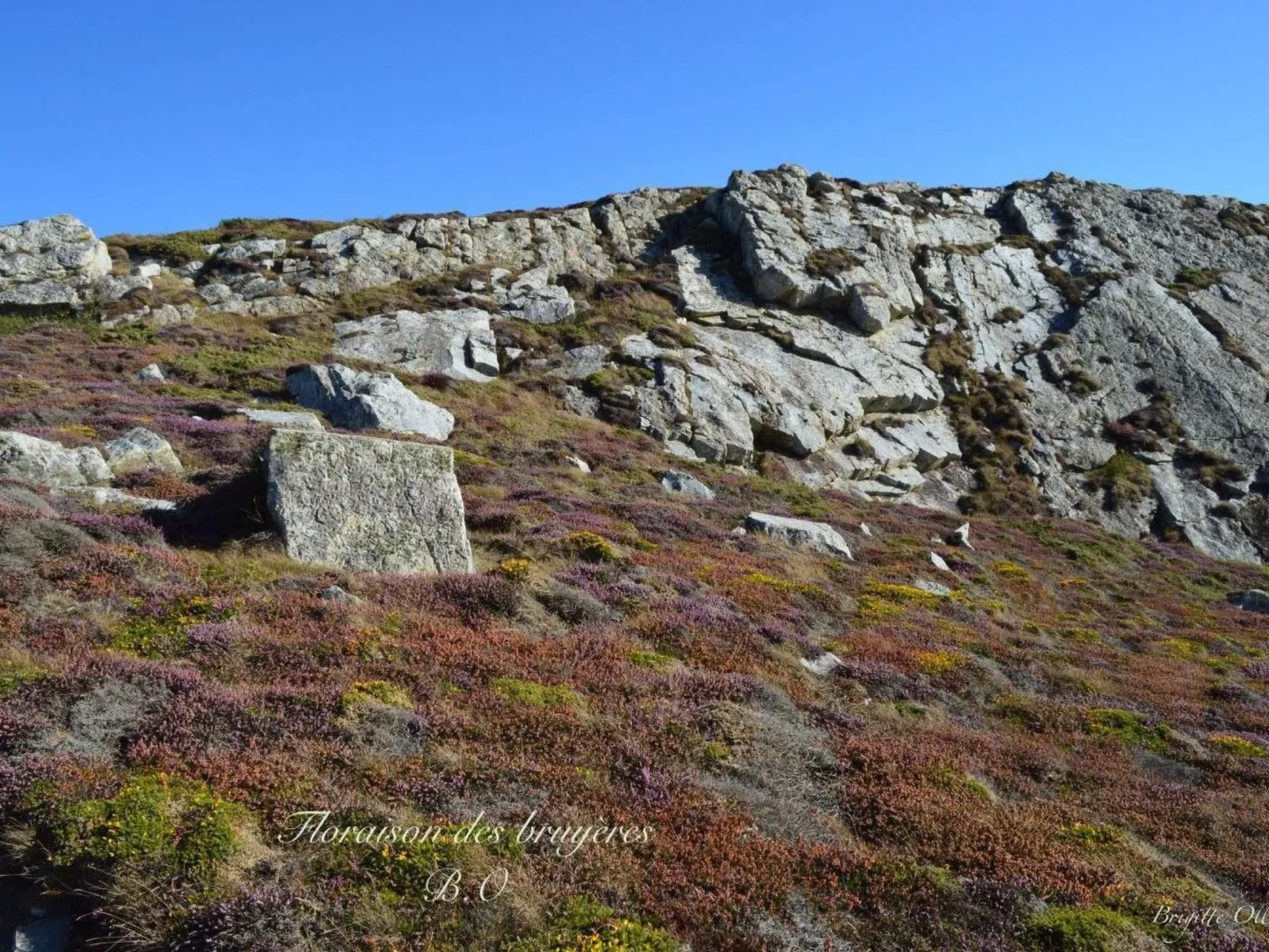 Ferienhaus-Image-tags.info