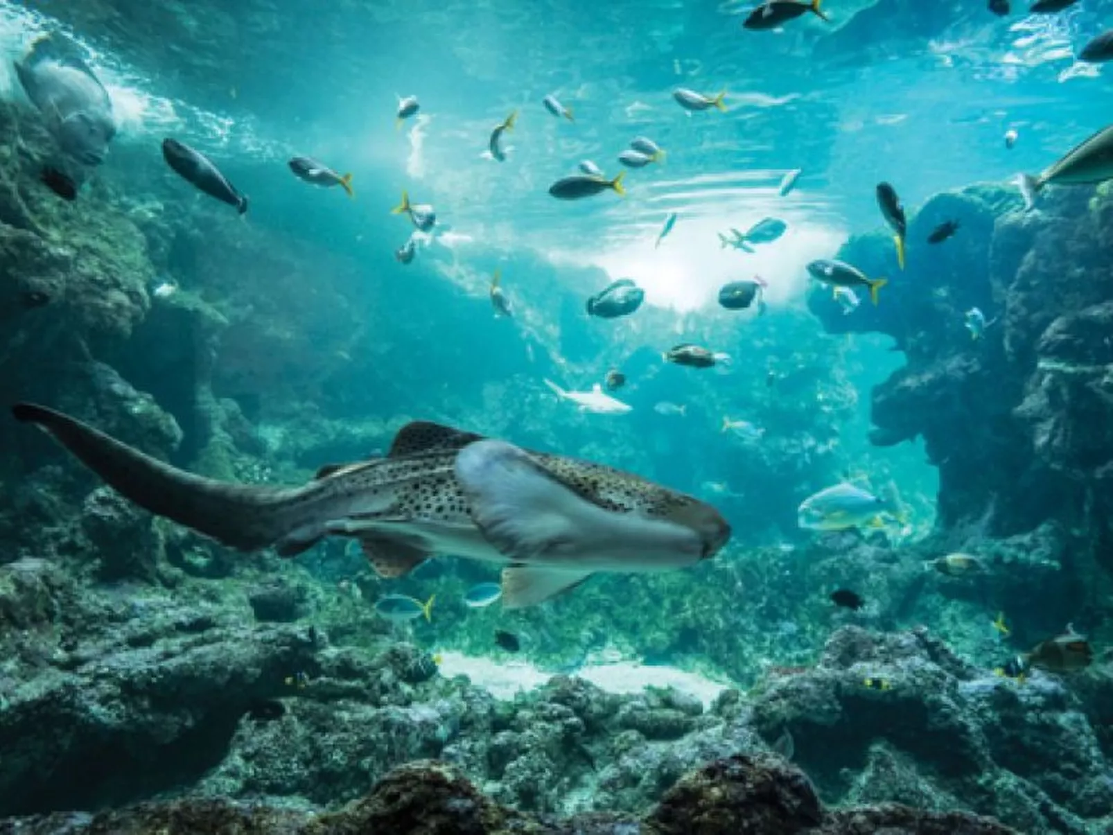 Kleine Wohnung in großem Familienhaus-Buiten