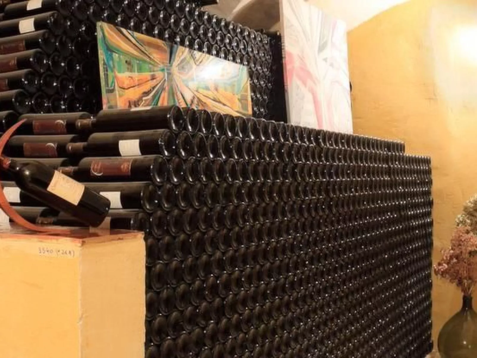 Gemütliches Studio inmitten von Weinbergen und Olivenbäumen-Binnen