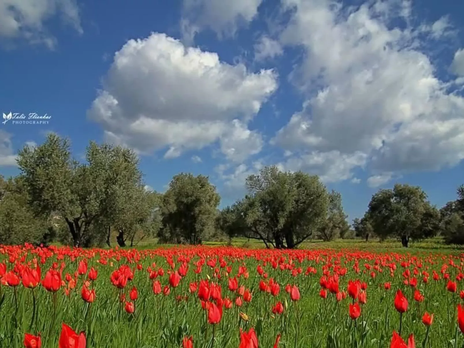 Charmante Villa mit Meerblick - 300m. vom Strand entfernt-Binnen
