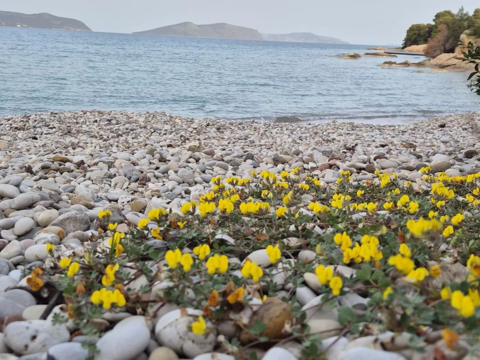 "Villa Newlands" - Pool, Meer und Inseln-Buiten