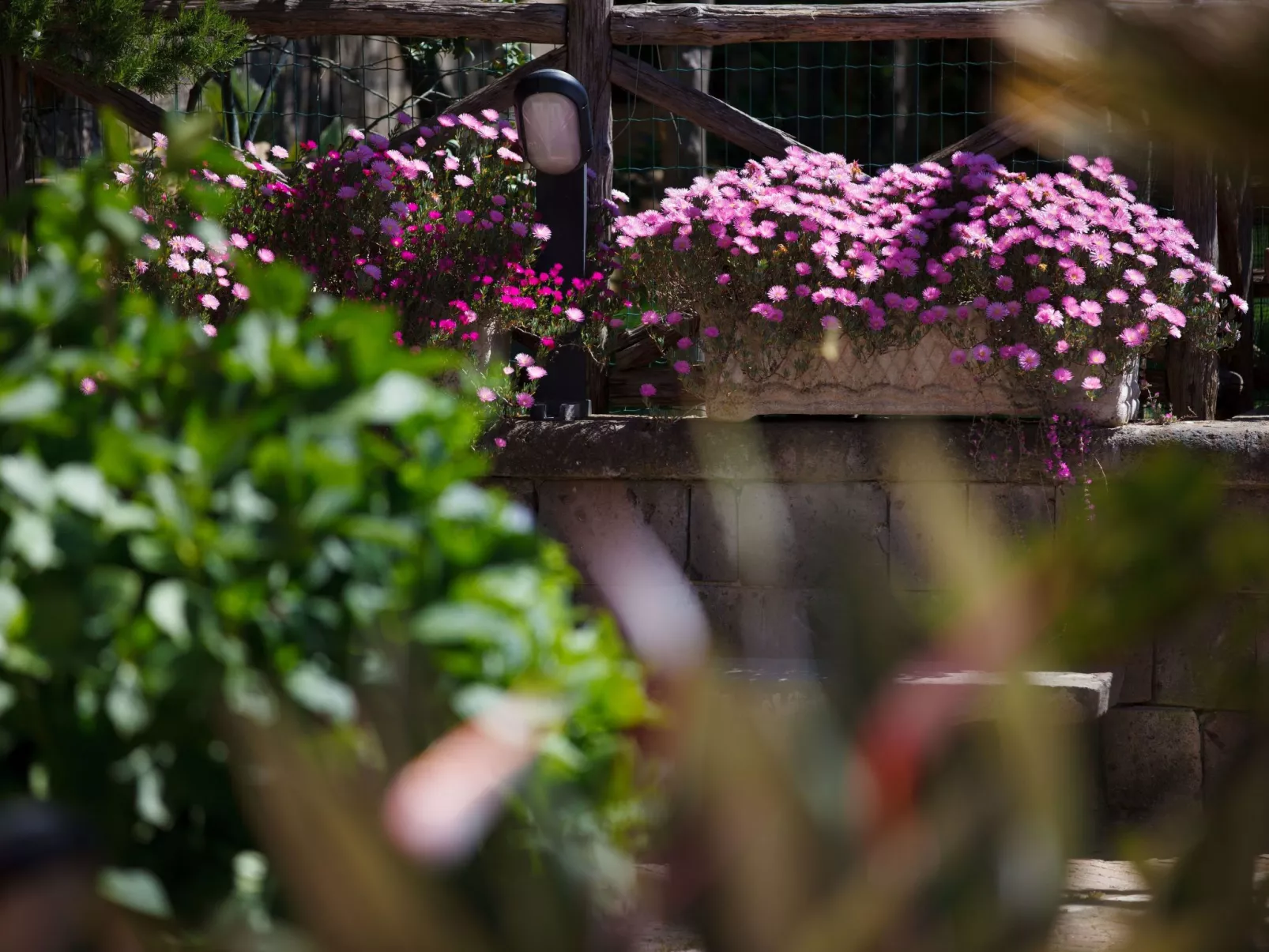 Panoramavilla mit Pool-Image-tags.info