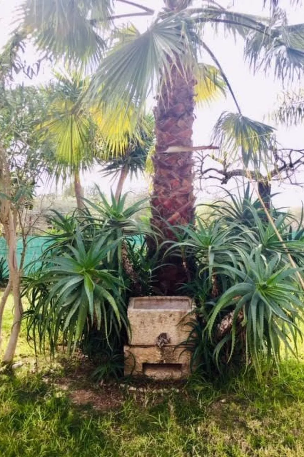 Für 4 Personen in Algoz, Algarve-Image-tags.info