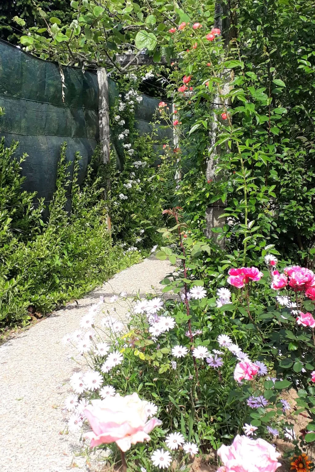Quinta D'Avó Amélia, wunderschönes Landhaus zwischen den Bergen und dem Meer-Buiten