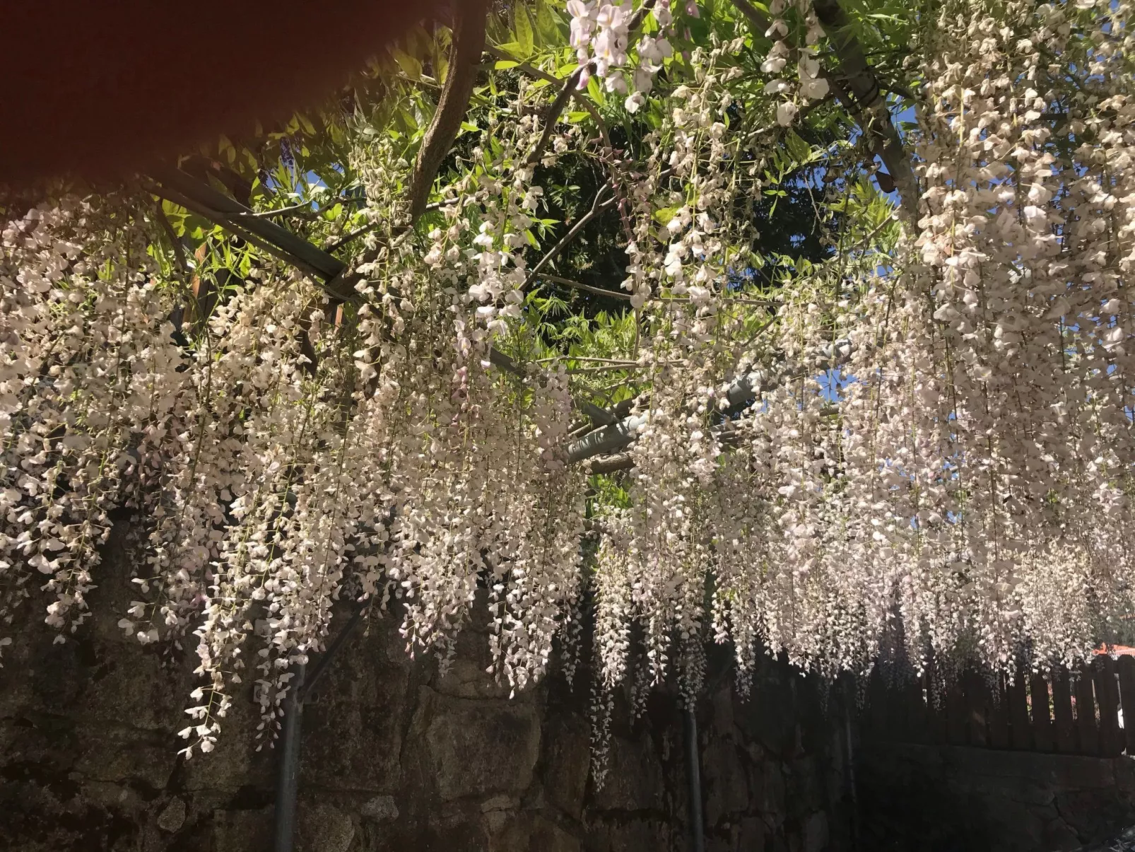 Casas das Olas 6 - Großartige Aussicht, 2 Pools, idealer Ort zum Entspannen und-Buiten