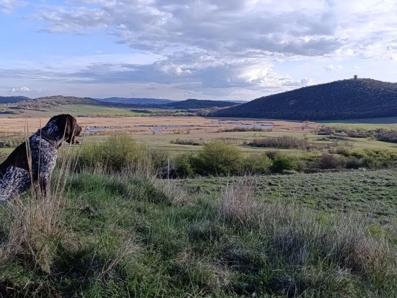 Ferienwohnung-Buiten
