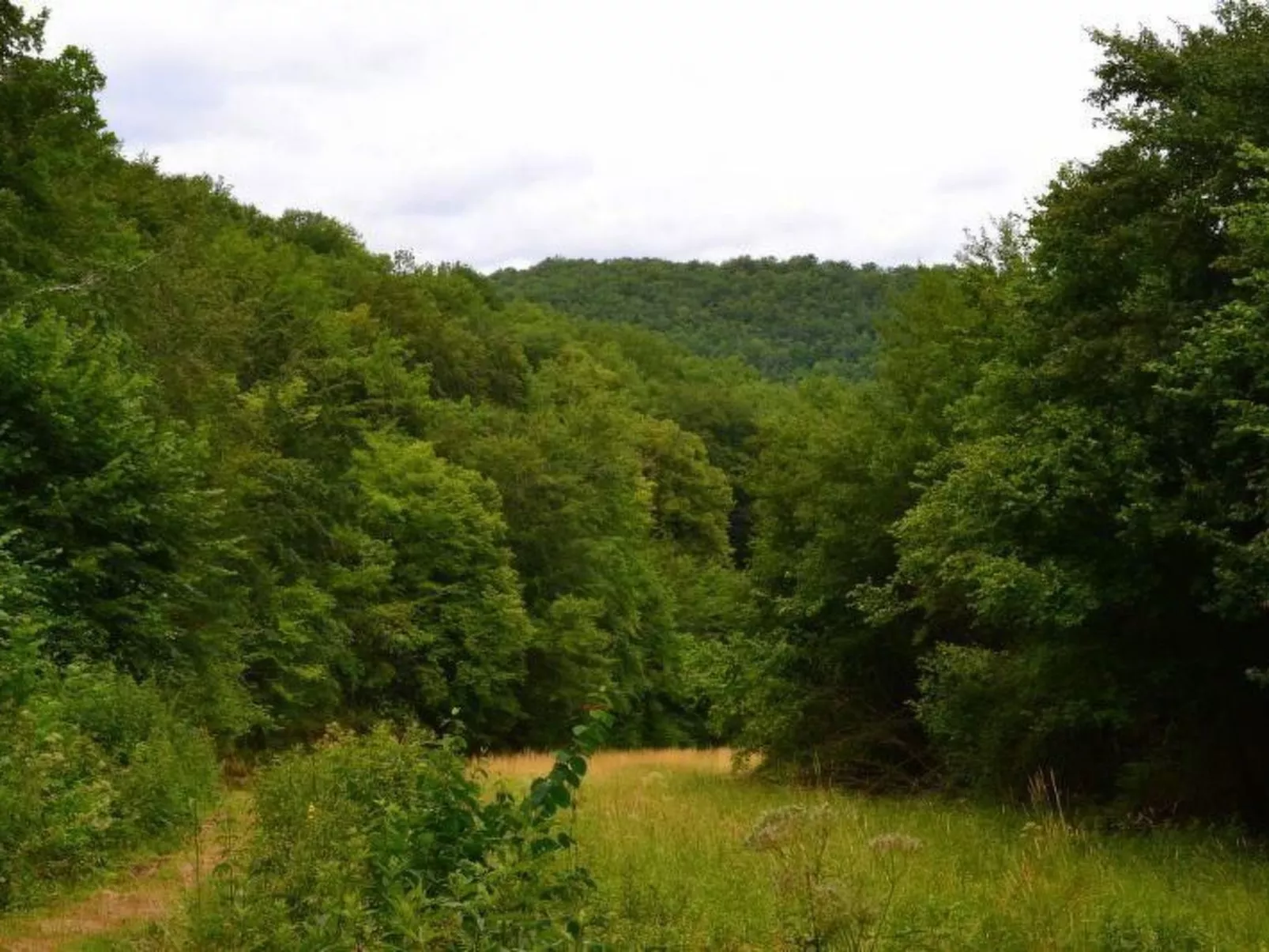 Gîte für fünf Personen-Binnen