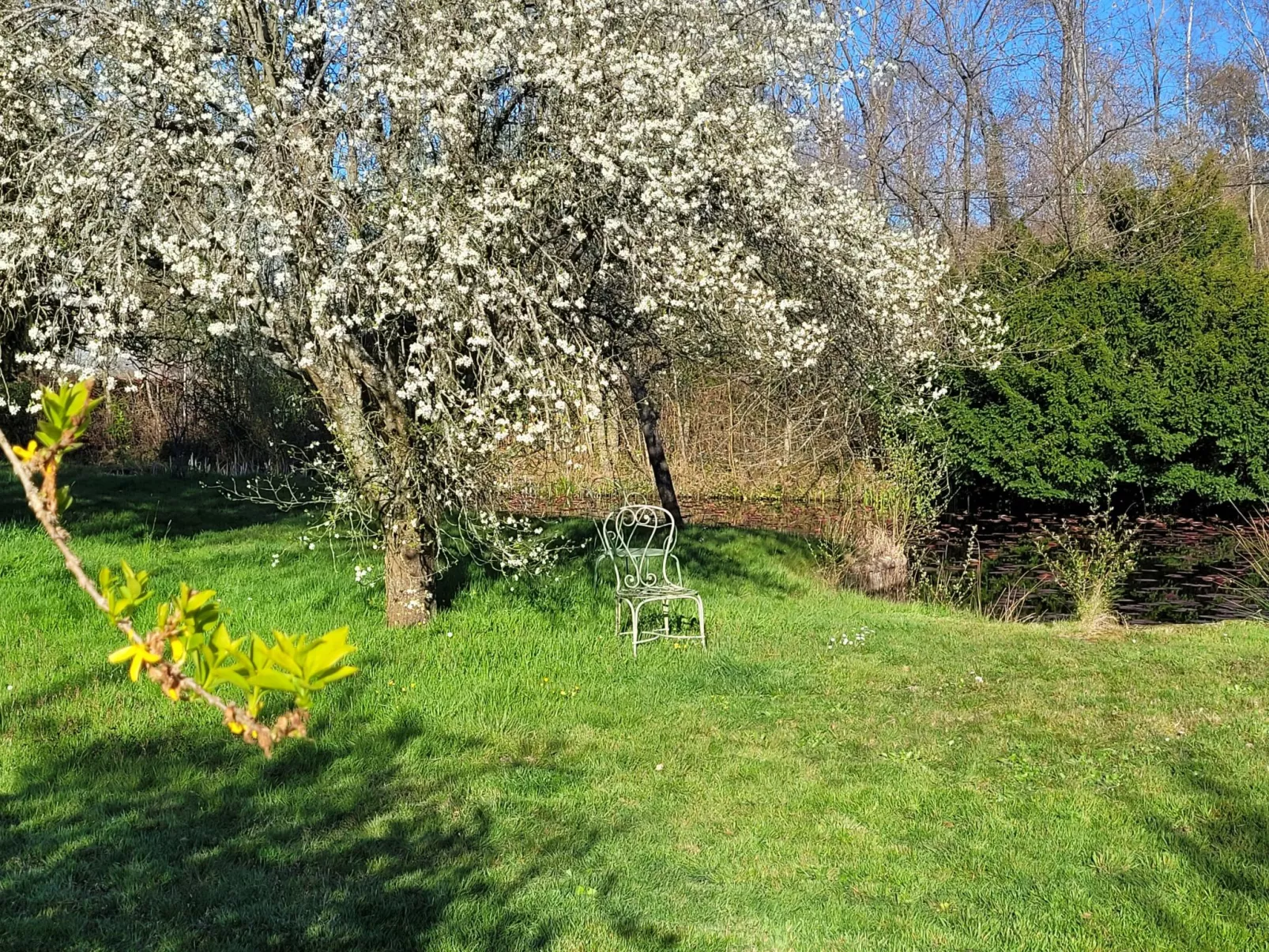 Renoviertes Ferienhaus in der Nähe von Cabourg-Deauville-Lisieux-Buiten