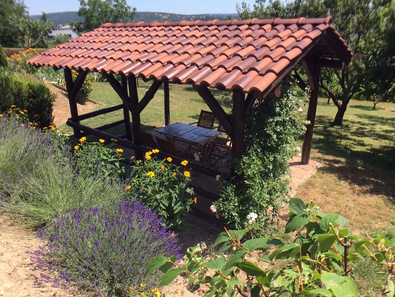Hevizquelle - Buiten