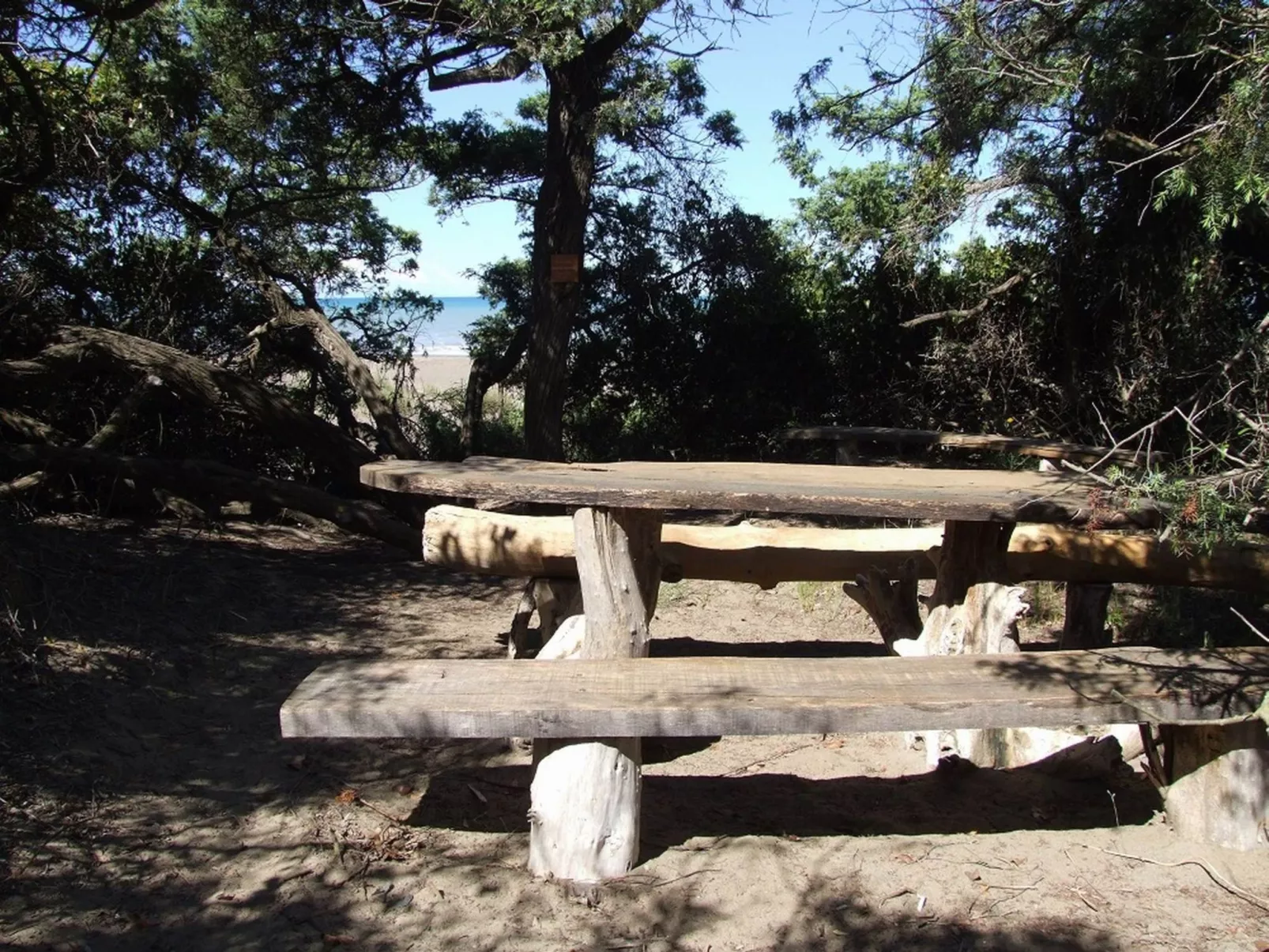 Wohnung 'Windows' in Strandnähe-Buiten