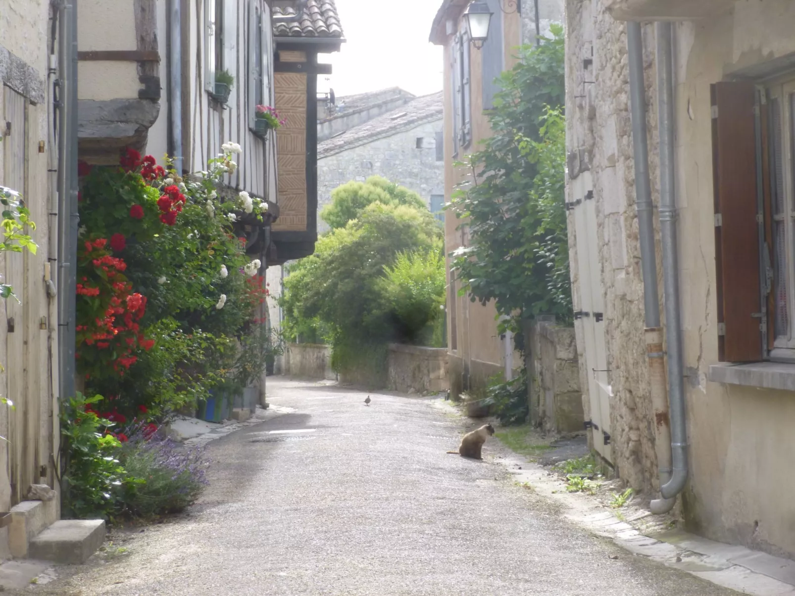 Haus freistehend Sonne Bett 160cm Patio billig-Buiten