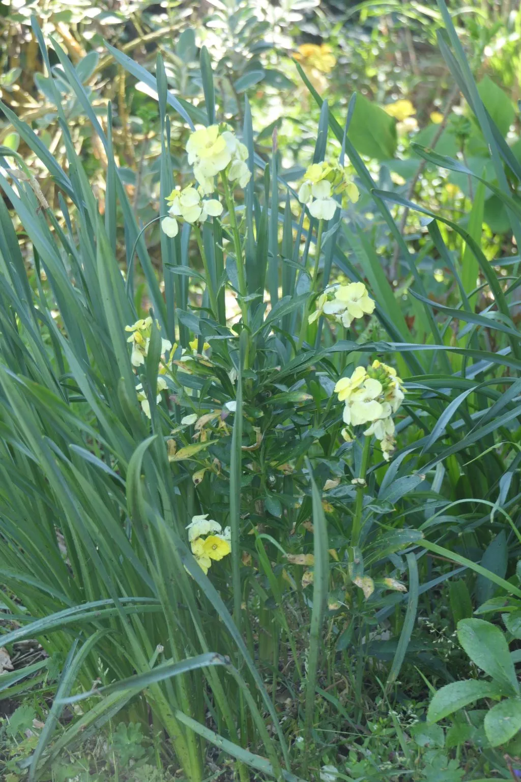 "8883" in Strandnähe-Image-tags.info