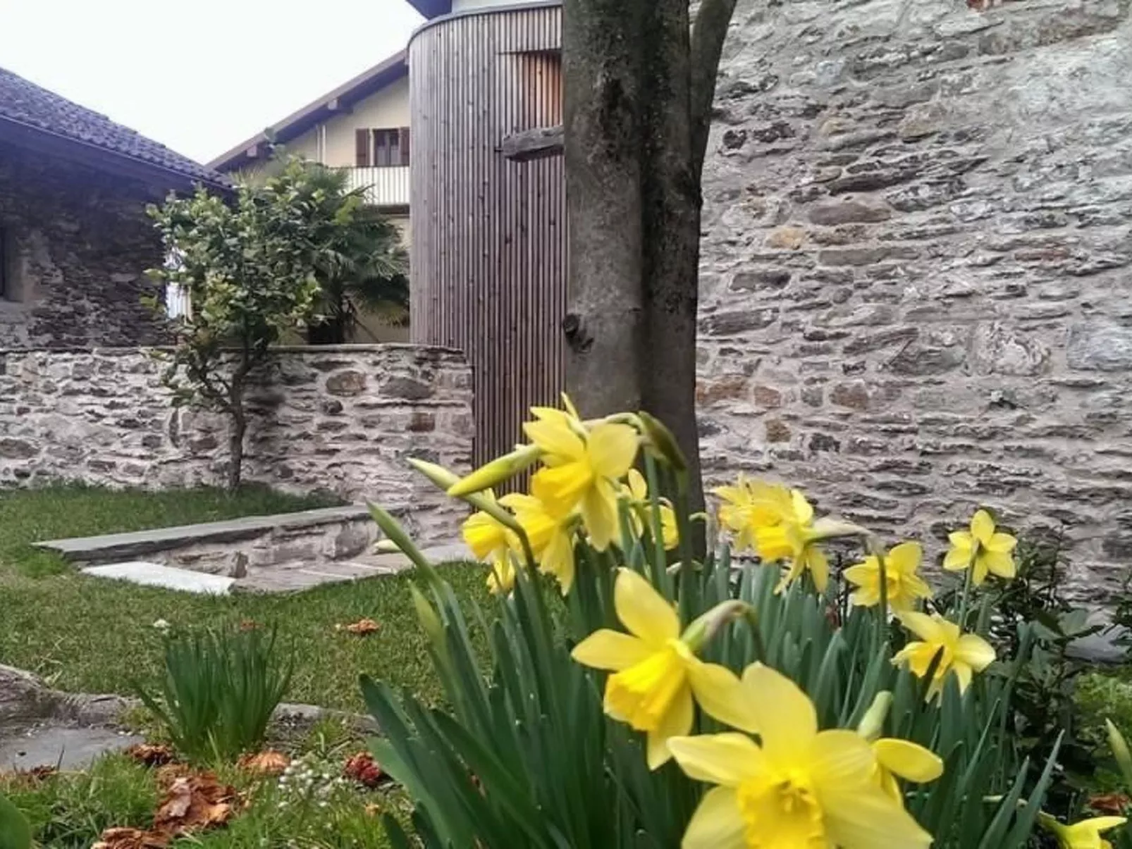 Corte delle Camelie - Wohnung im Erdgeschoss-Buiten