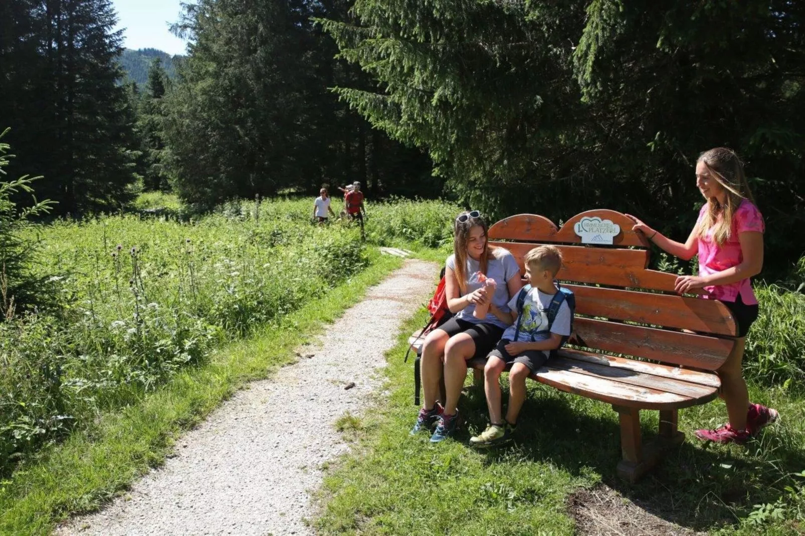 Apartment Geierkogelblick-Gebieden zomer 1km