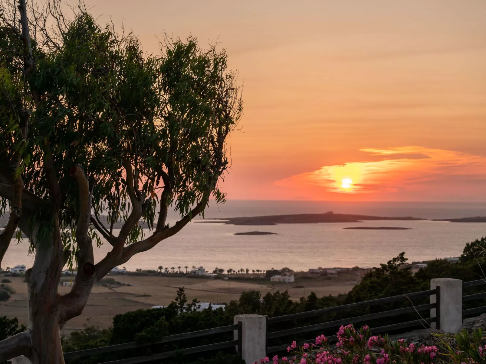 Die Villa und das Atelier des Bildhauers - Buiten