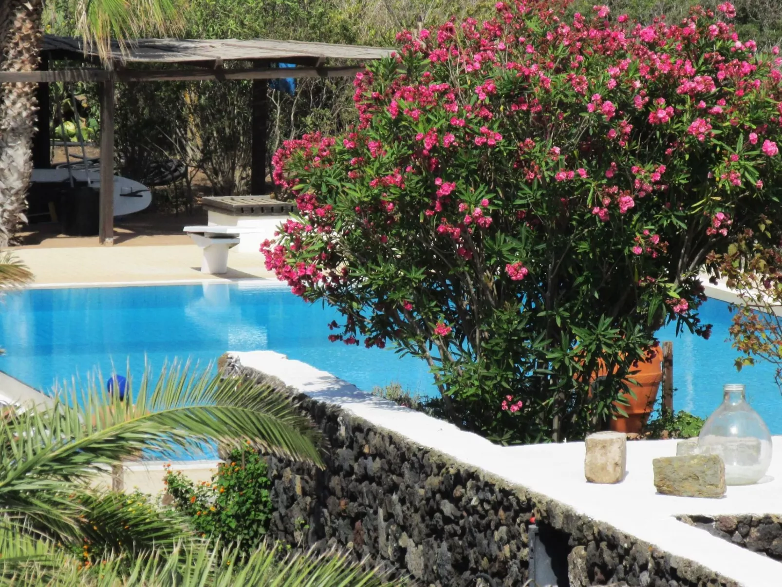 Stammes-Suite-Image-tags.info