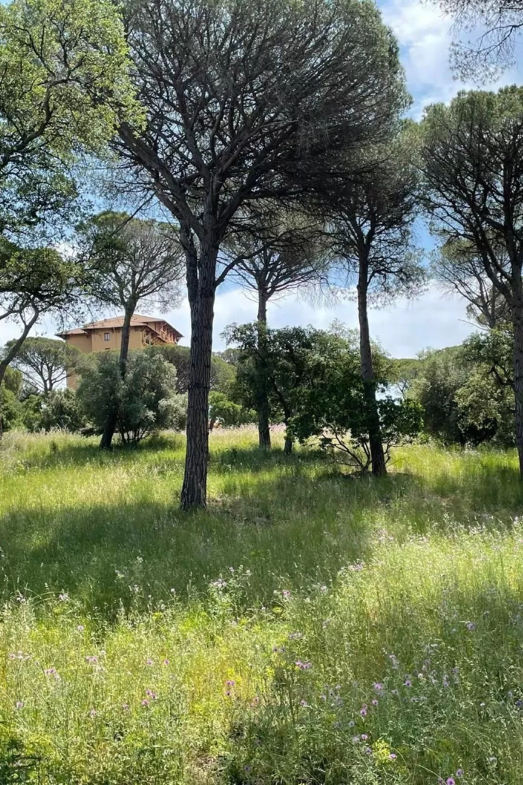 Grande Maisonette-Buiten