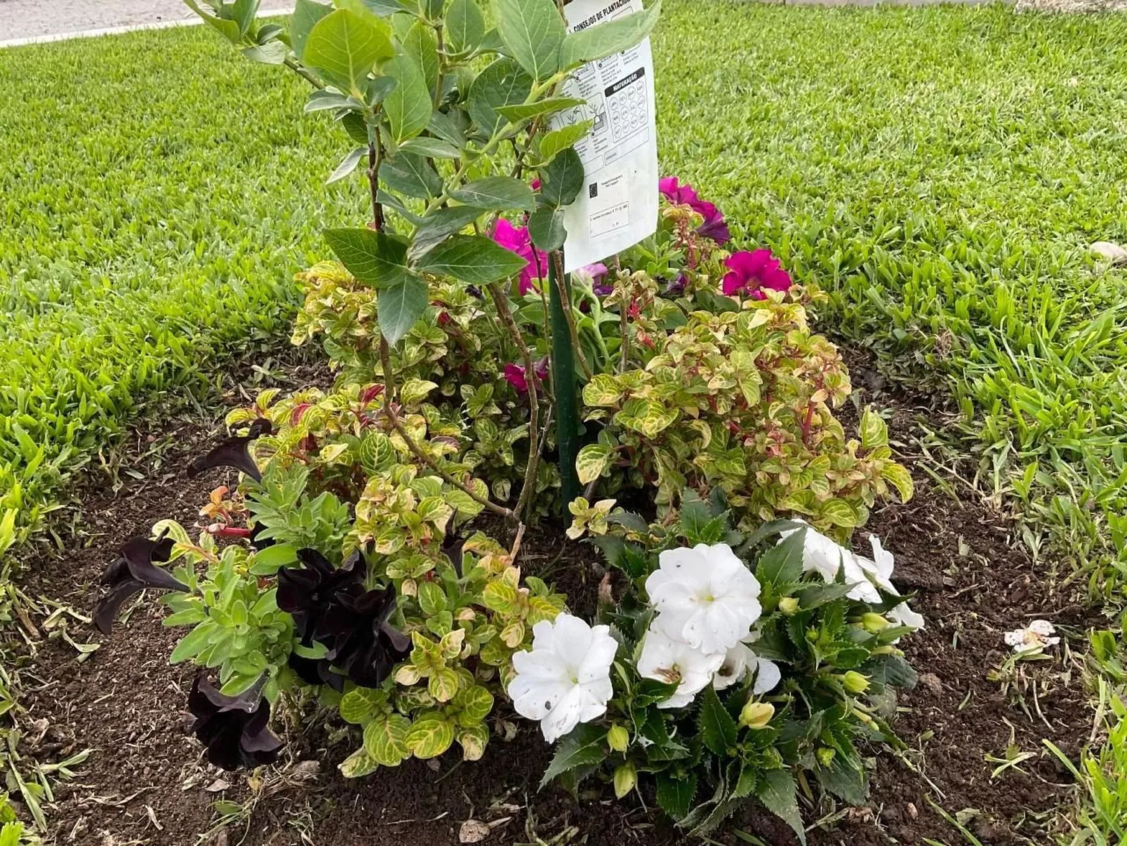 Casa da Guilheta-Buiten