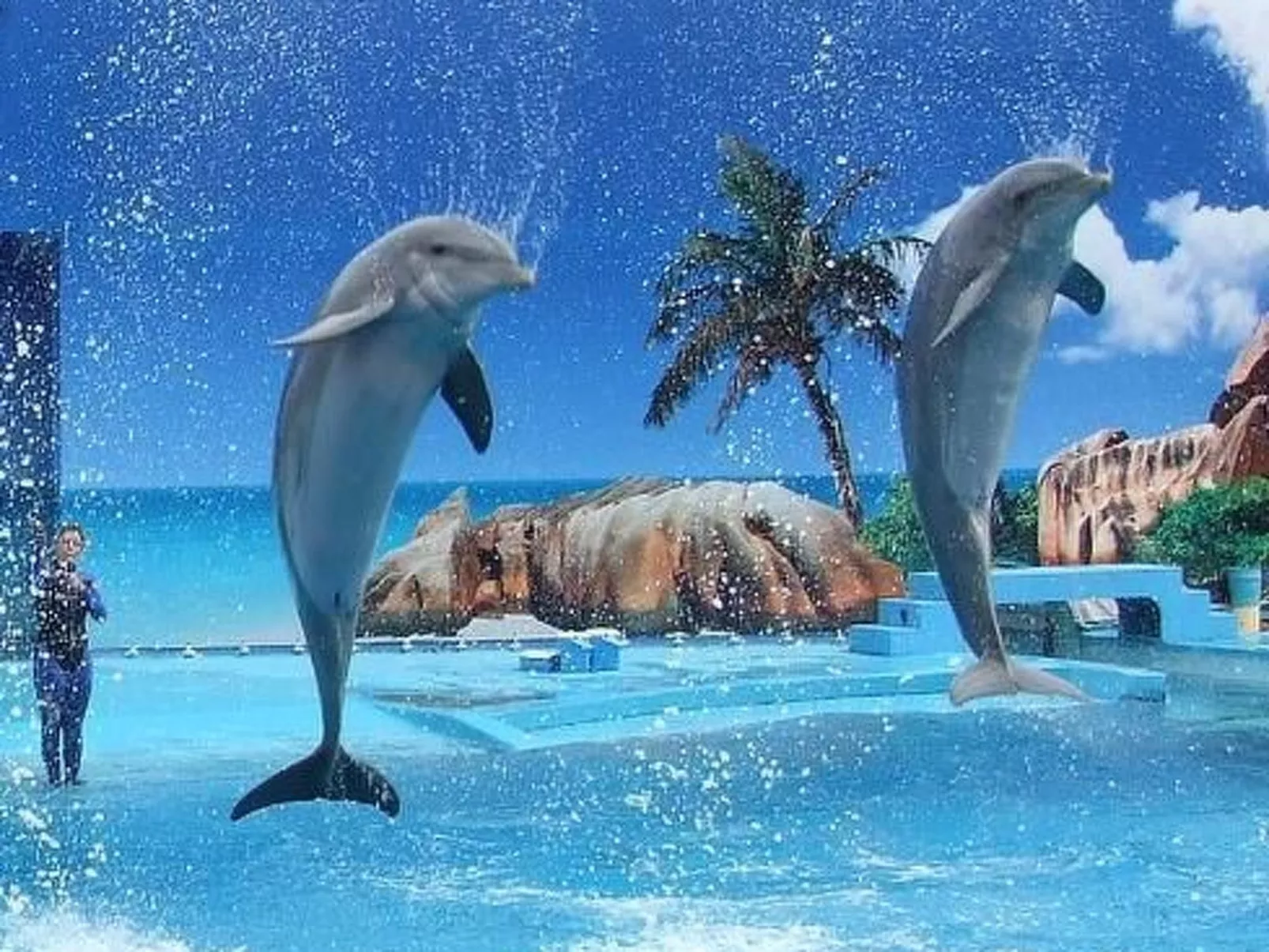 Wohnung mit Balkon-Buiten