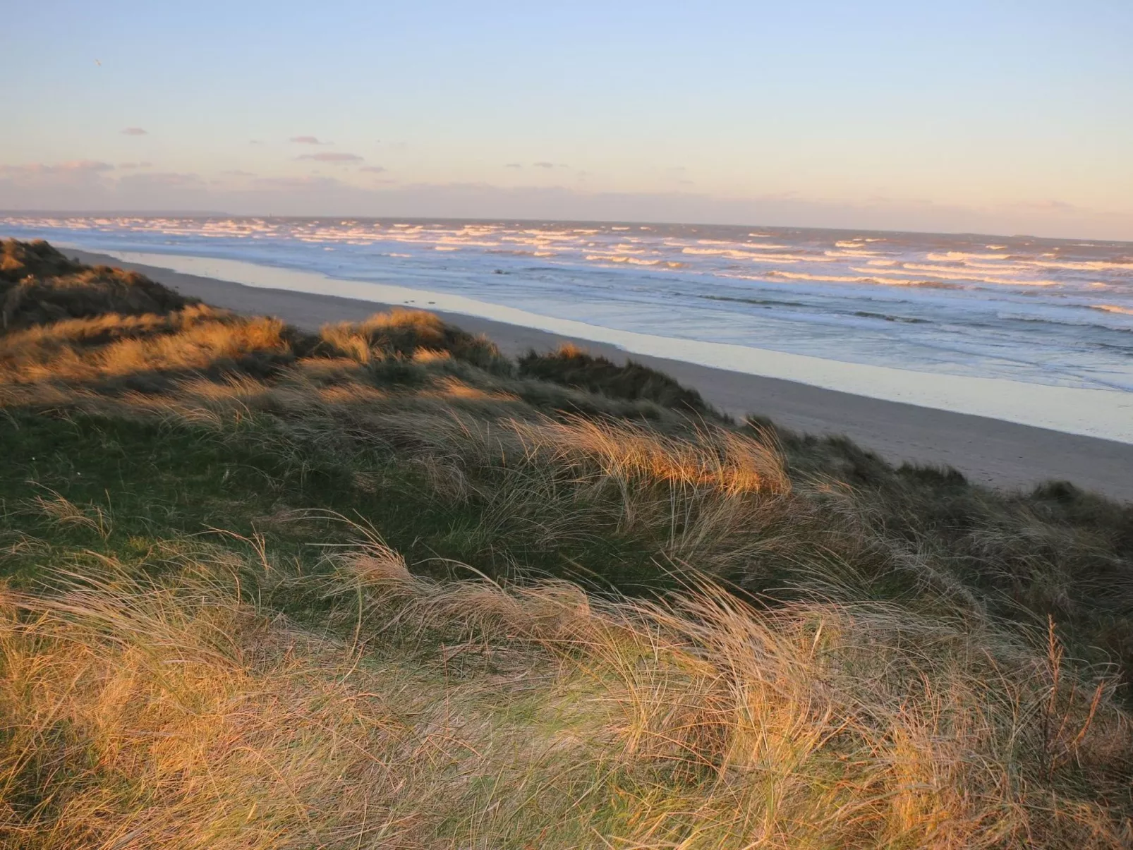 L'Escale dunes, Strände 20 Meter entfernt, Meerblick-Buiten