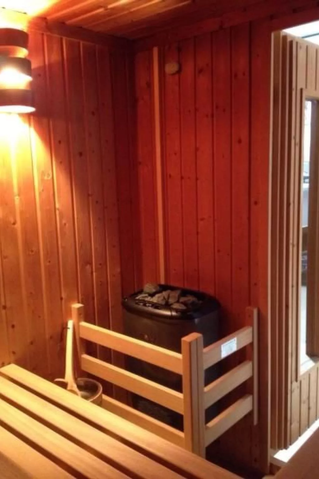 Blue Merle-Image-tags.info